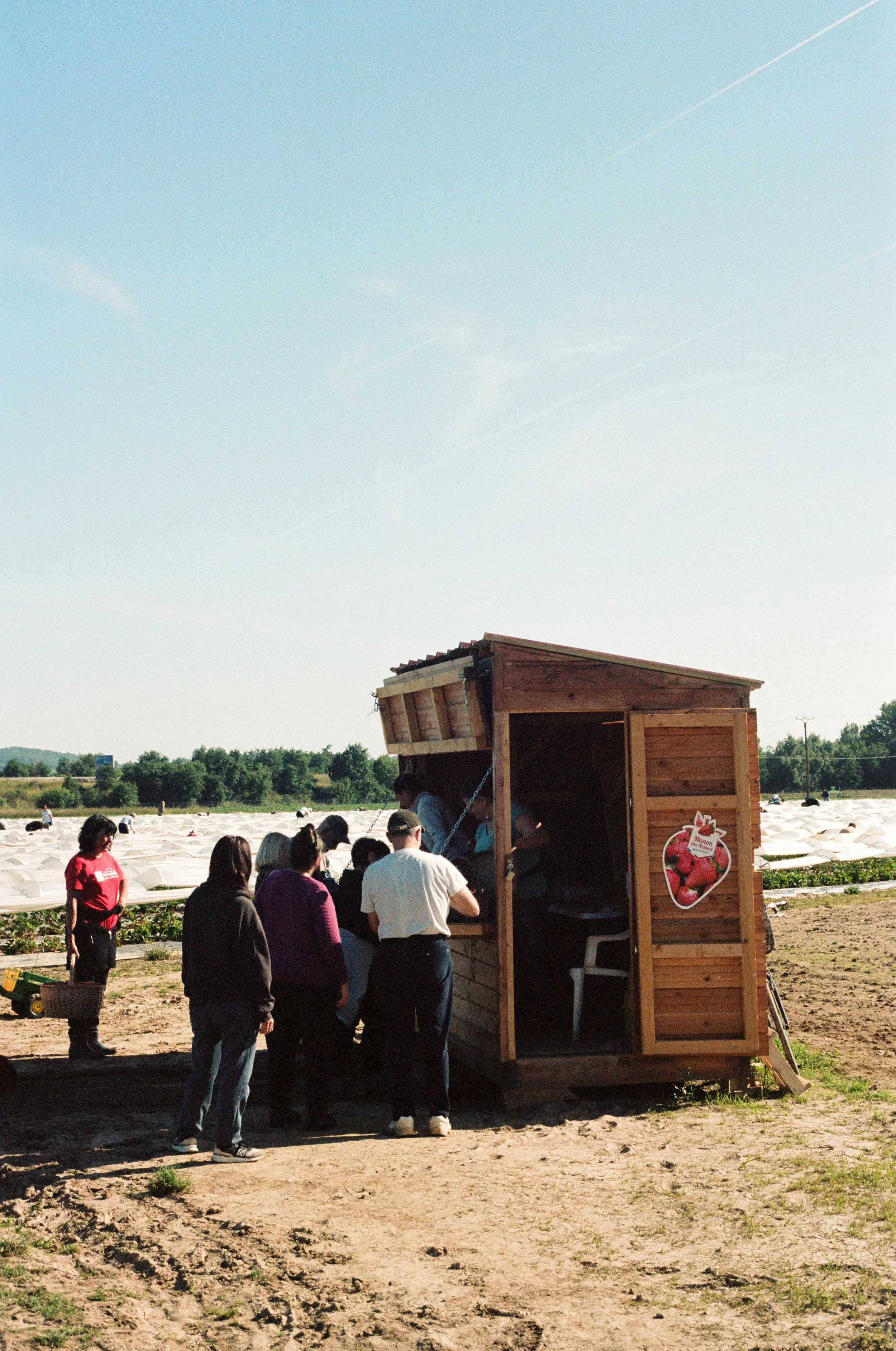 Groupe de personnes faisant la queue devant une petite cabane en bois dans un champ ouvert, probablement pour acheter des fraises ou d'autres fruits.
Reportage