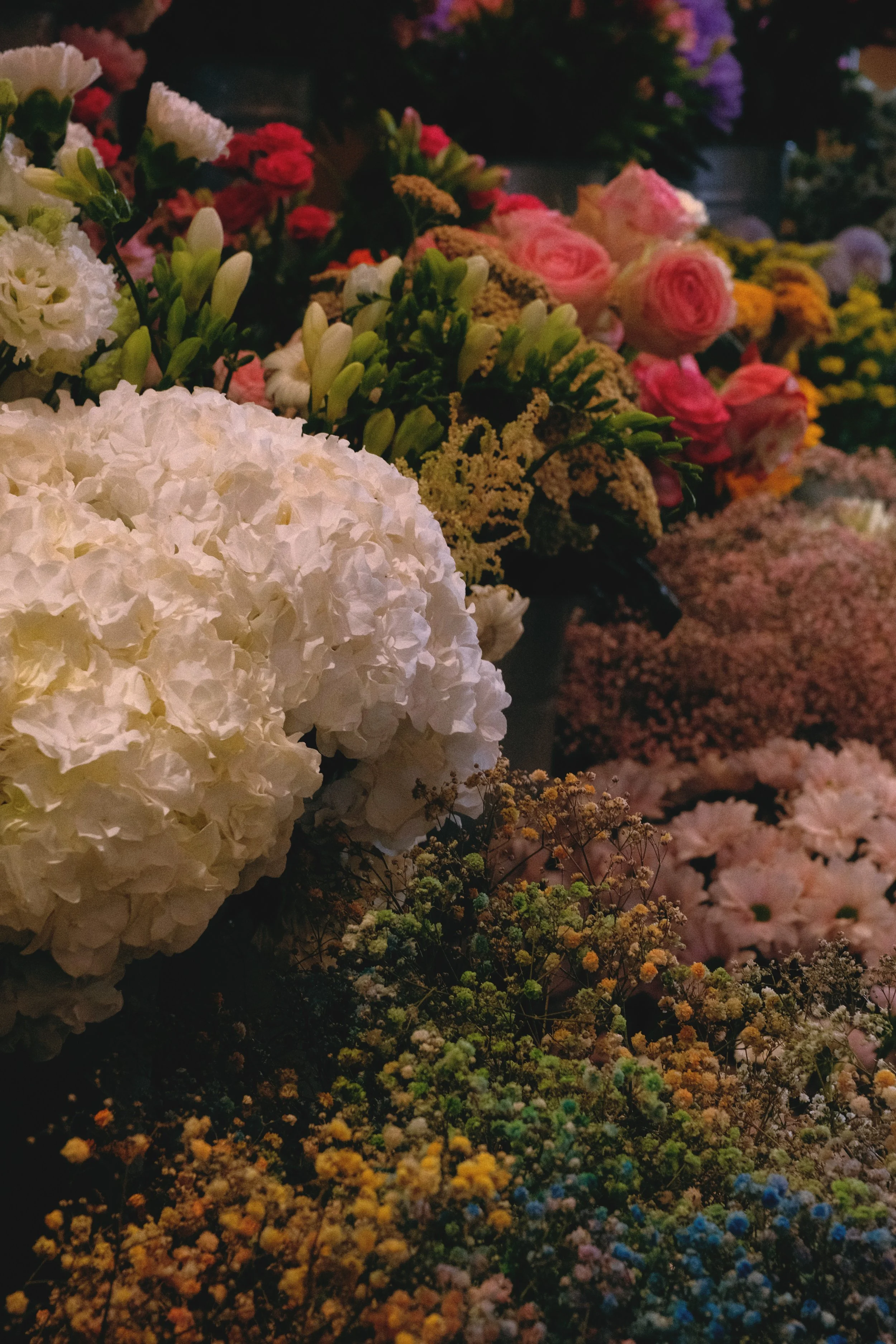 Various colorful flowers in a floral shop or display. Reportage