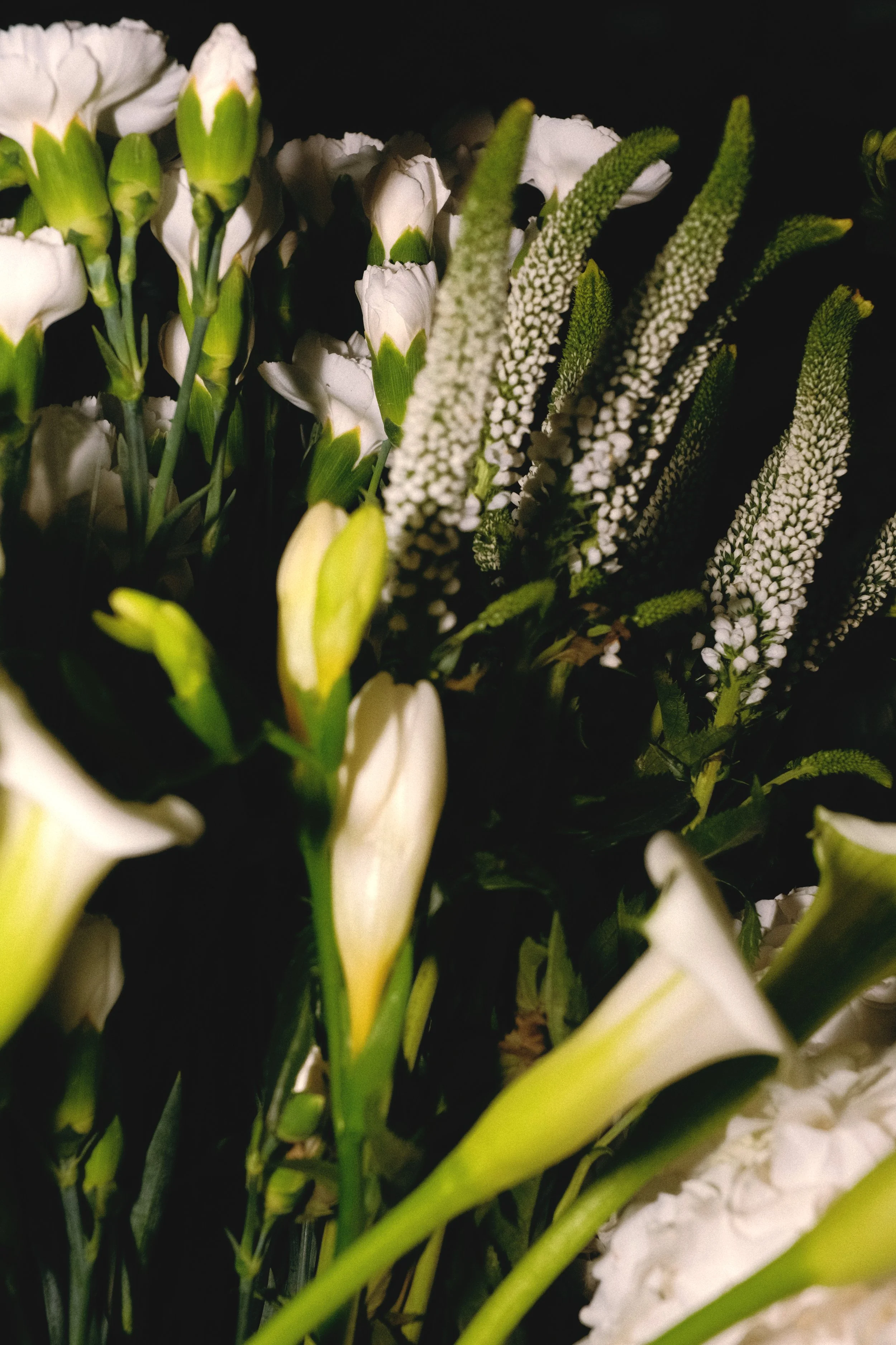 Fleurs blanches, dont des callas, et des fleurs avec des étamines vertes et blanches, dans une composition florale. Reportage