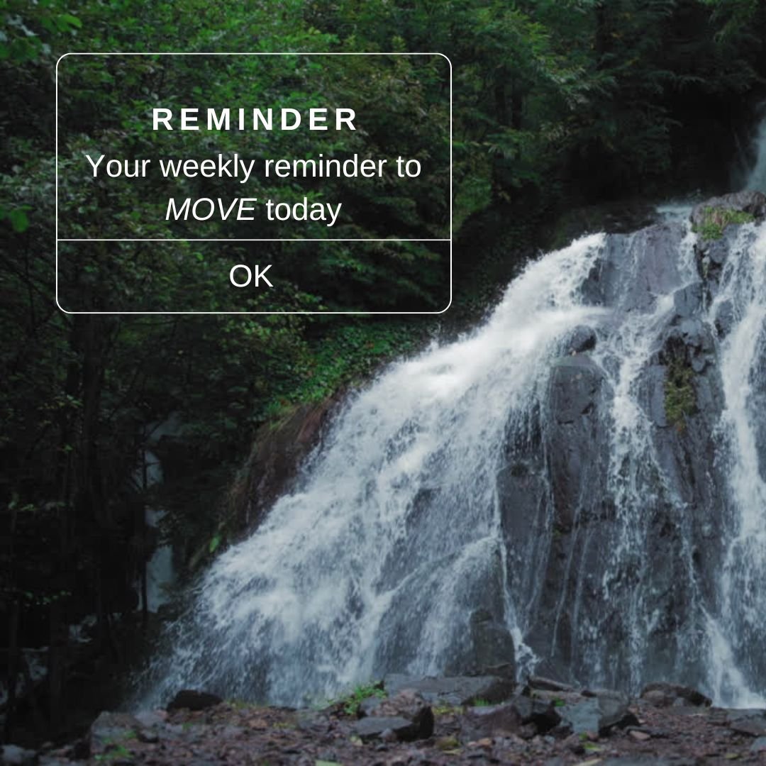 Your Weekly Reminder to Move Today