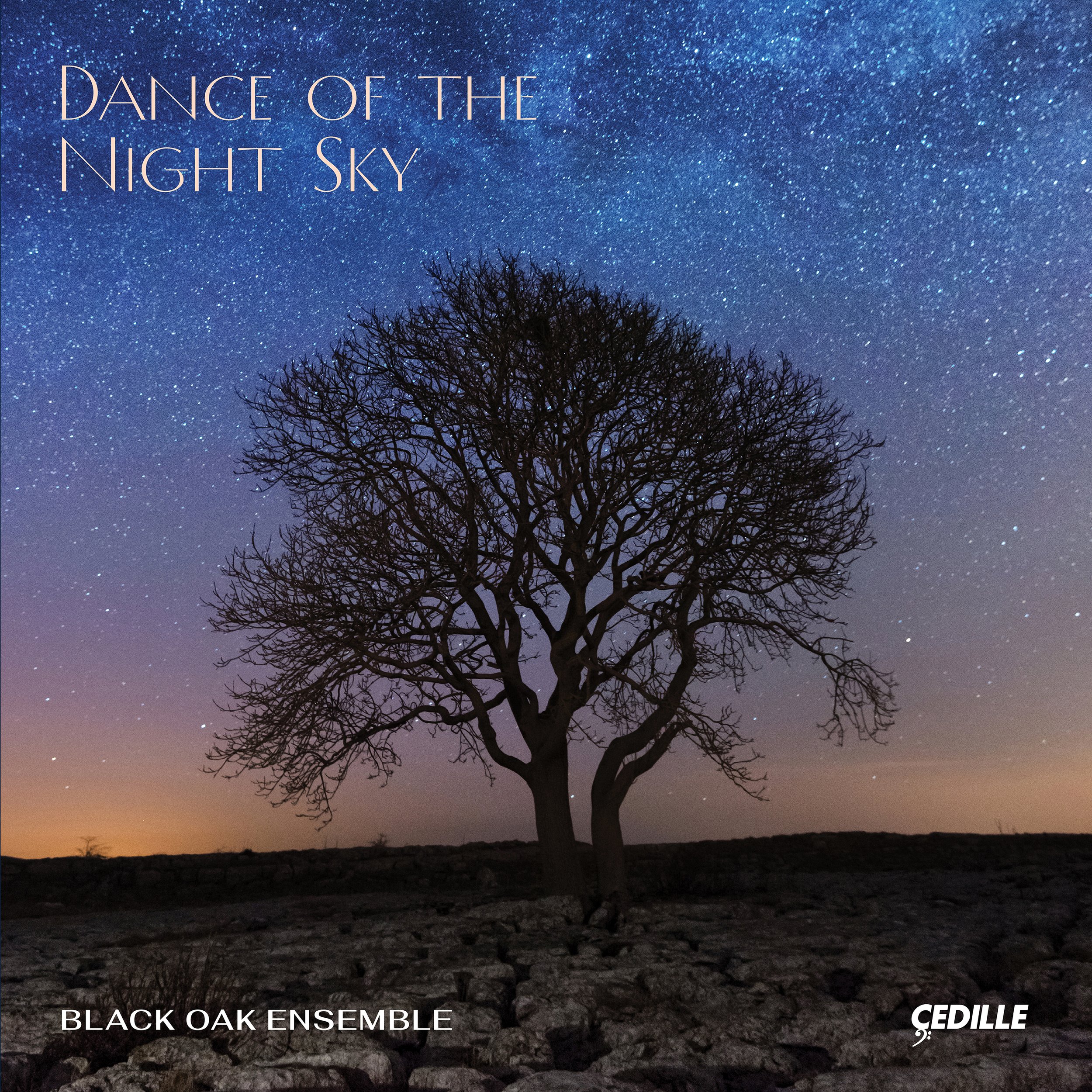 New Music Friday - Black Oak Ensemble