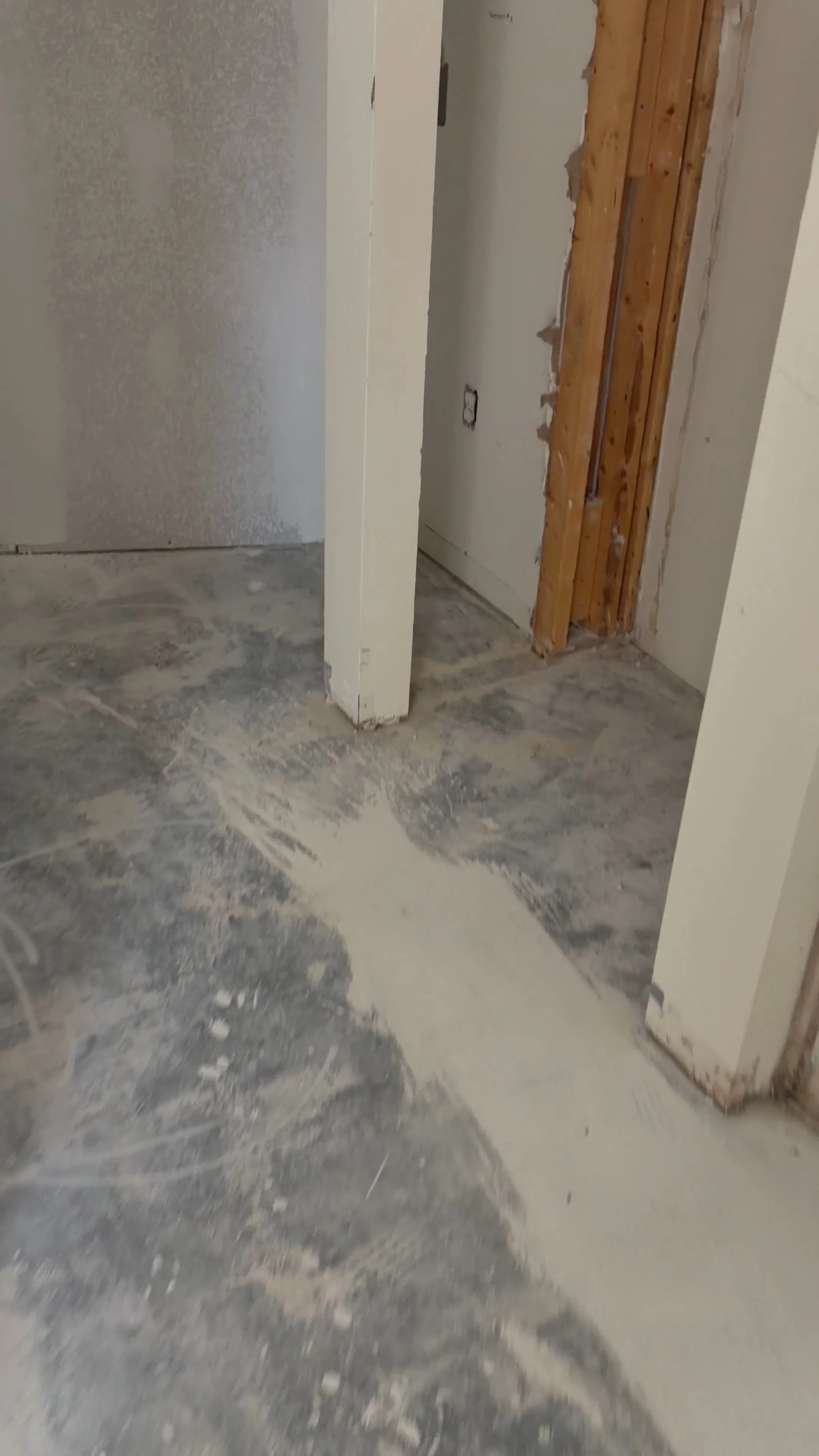 Damaged subfloor with visible termite holes in Dade City home before LVP installation