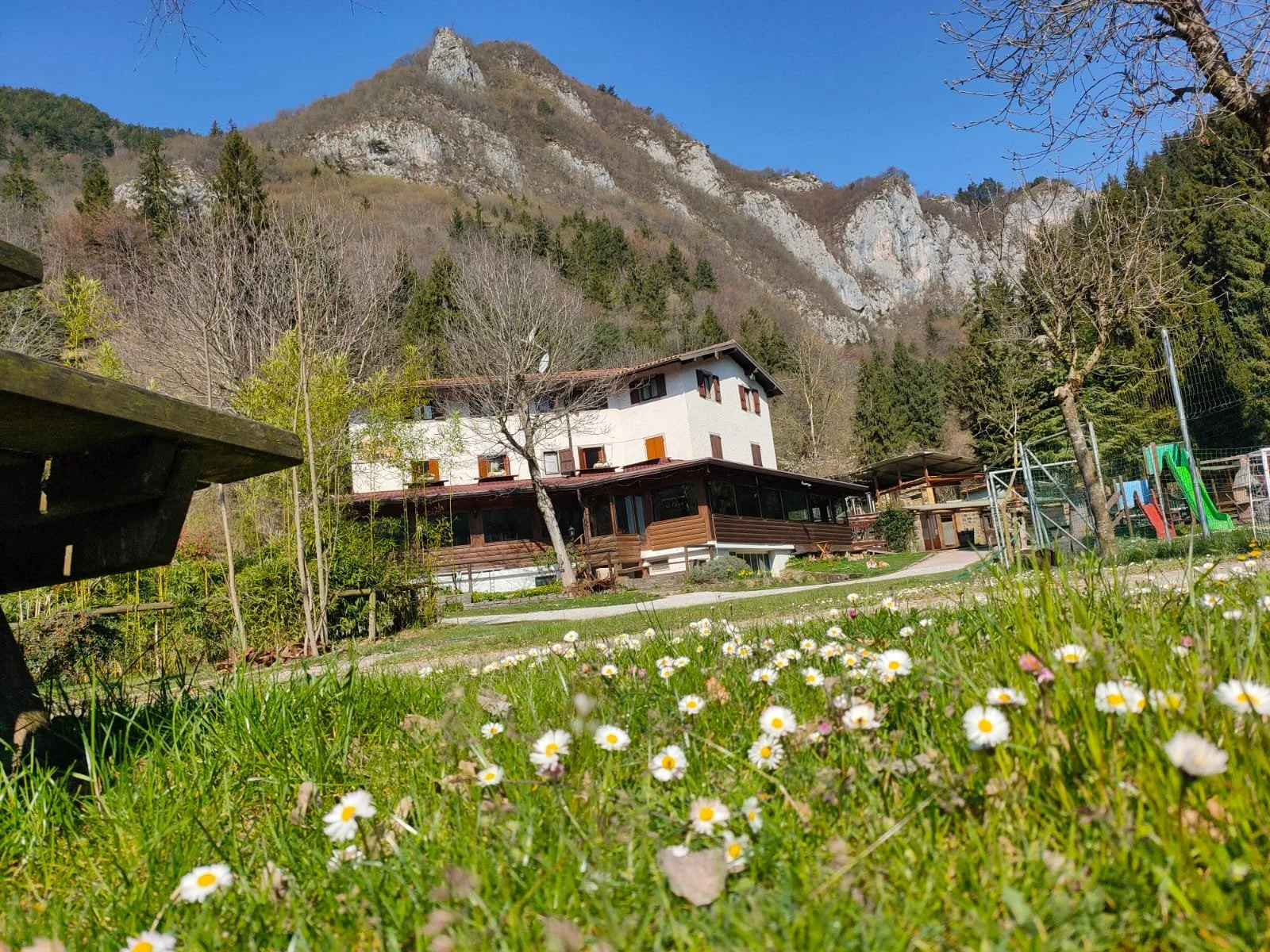 Una casa di montagna con un giardino fiorito, alberi e un campo di margherite, con montagne sullo sfondo e un cielo blu chiaro.