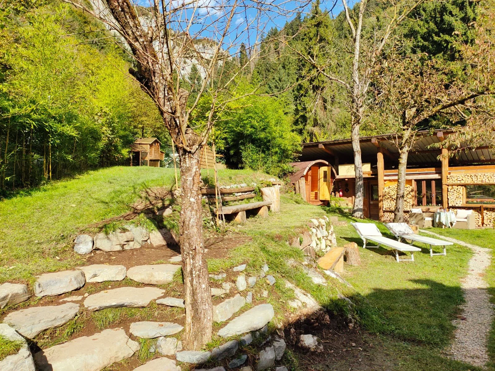 Giardino soleggiato con alberi, sedie a sdraio, una casa di legno e panchine in legno, in un'area di montagna circondata da alberi