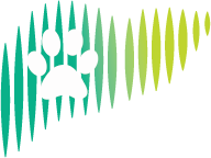 Ultrasound image with dog print in the middle