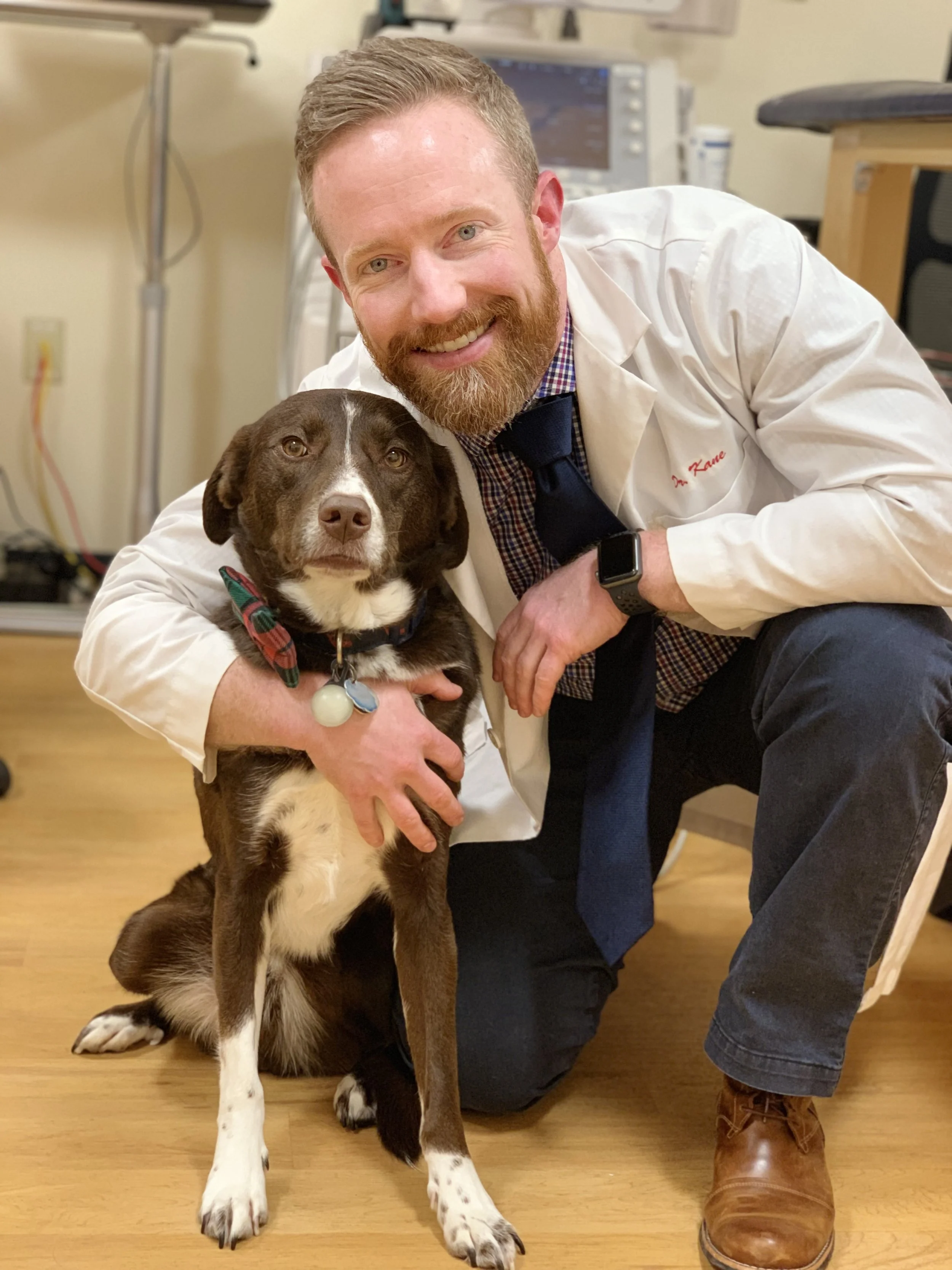 Dr. Adam Kane, DVM, DACVIM (Cardiology) kneeling next to a brown and white dog in a veterinary clinic