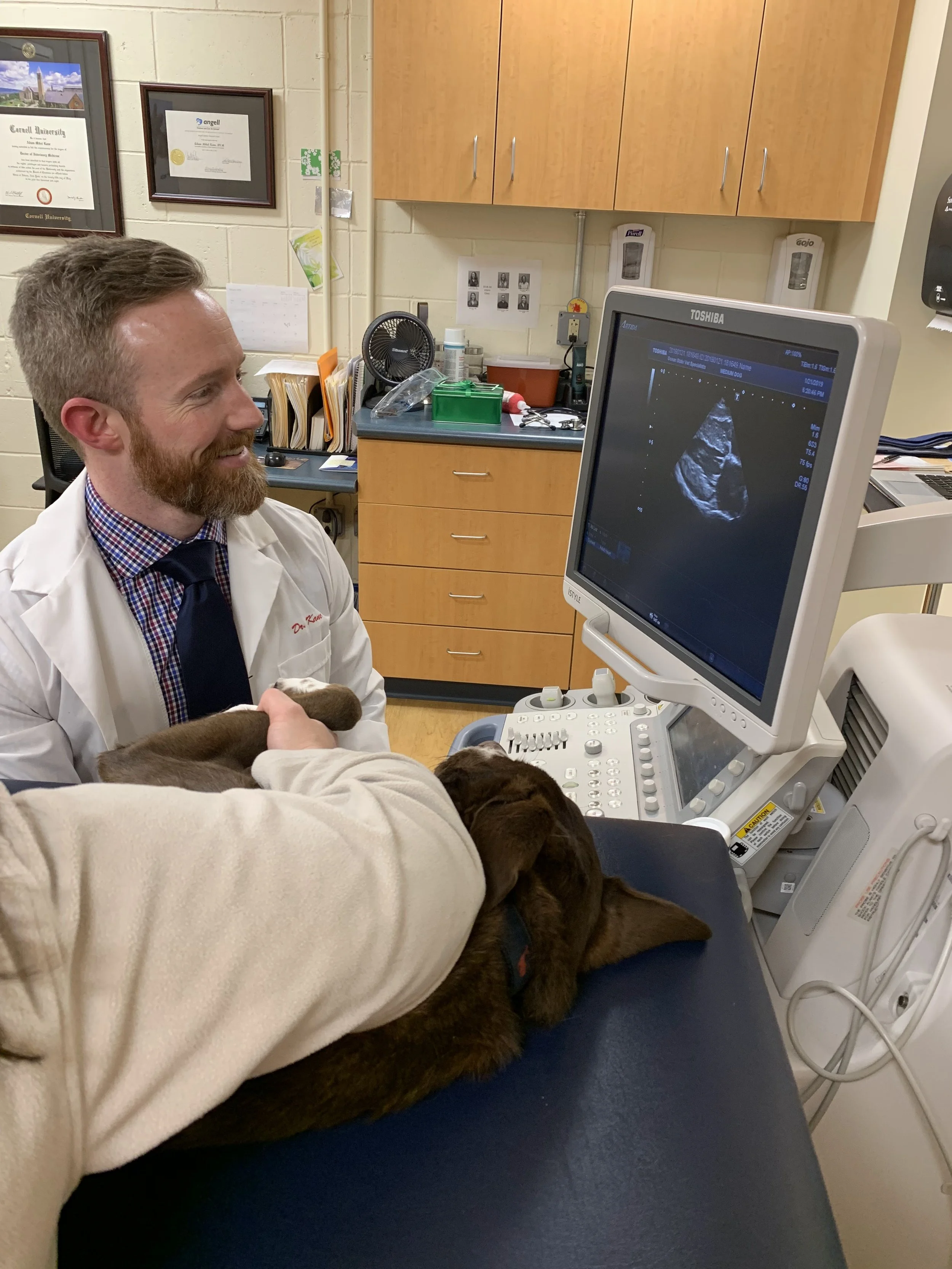 Dr. Kane conducting a cardiac ultrasound on a canine patient