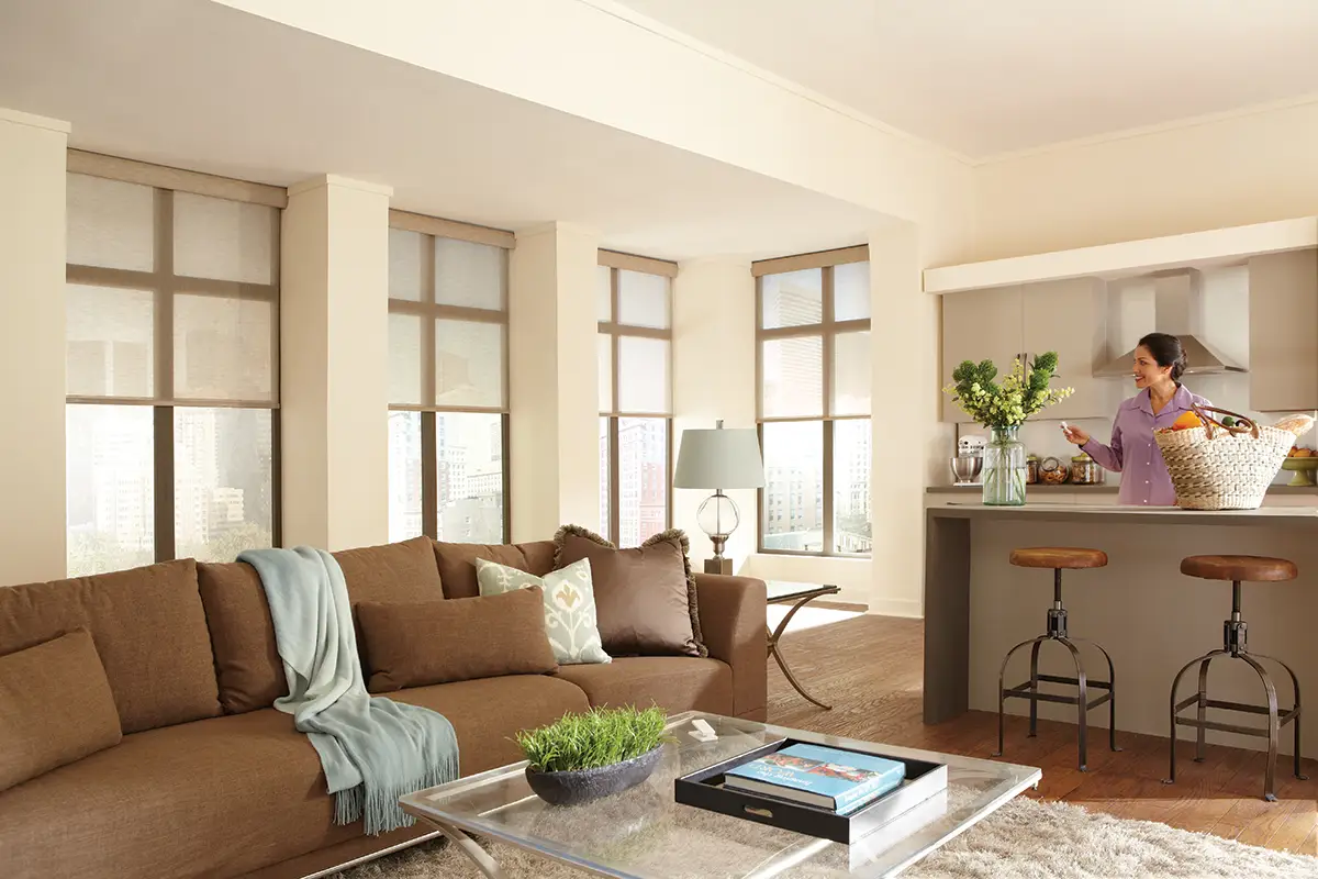 Lutron Roller Blinds