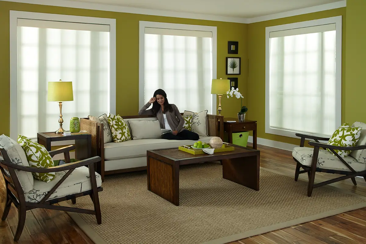Lutron Roller Blinds