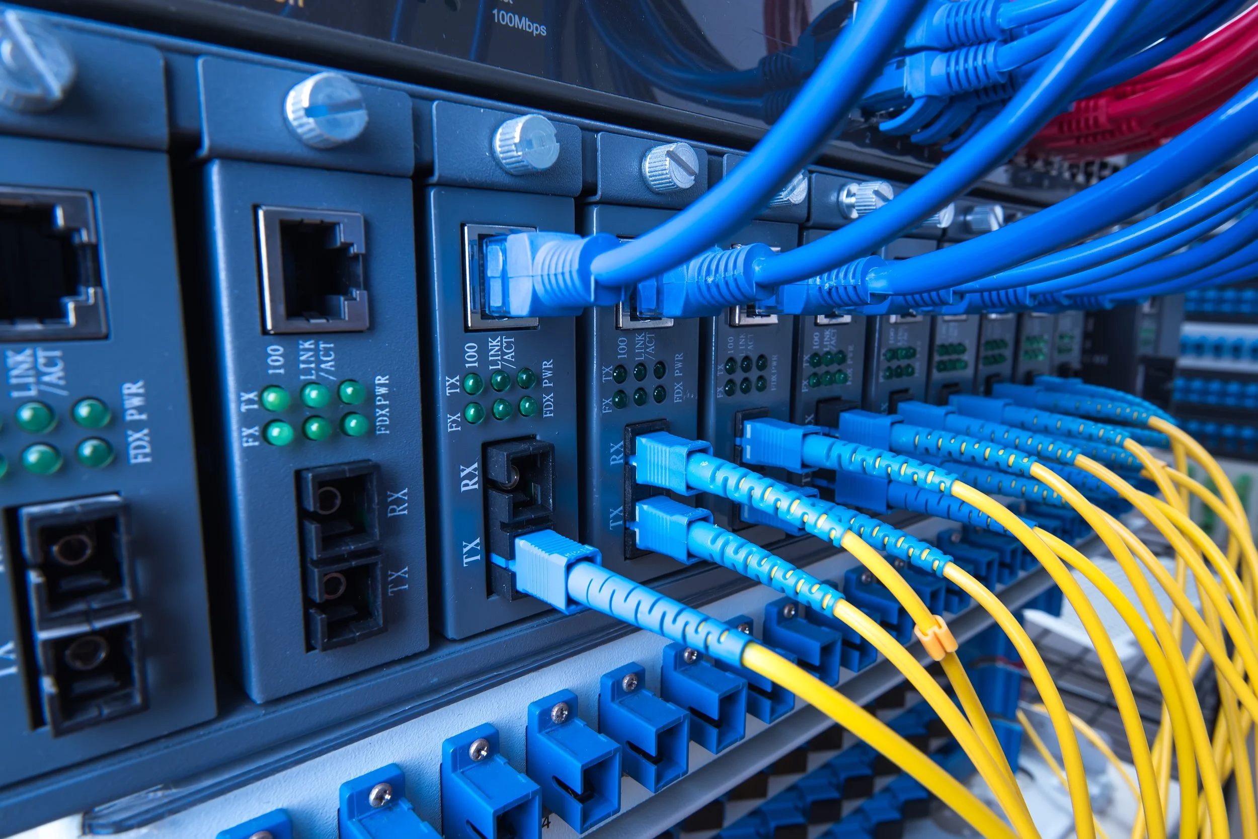 Ethernet patch leads into network switch