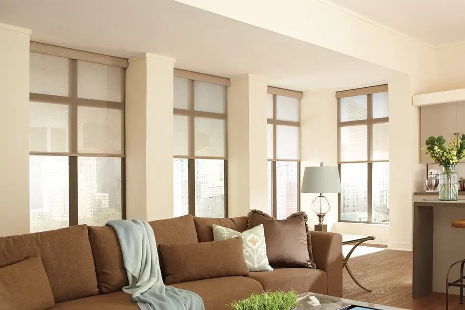Lutron Roller Blinds
