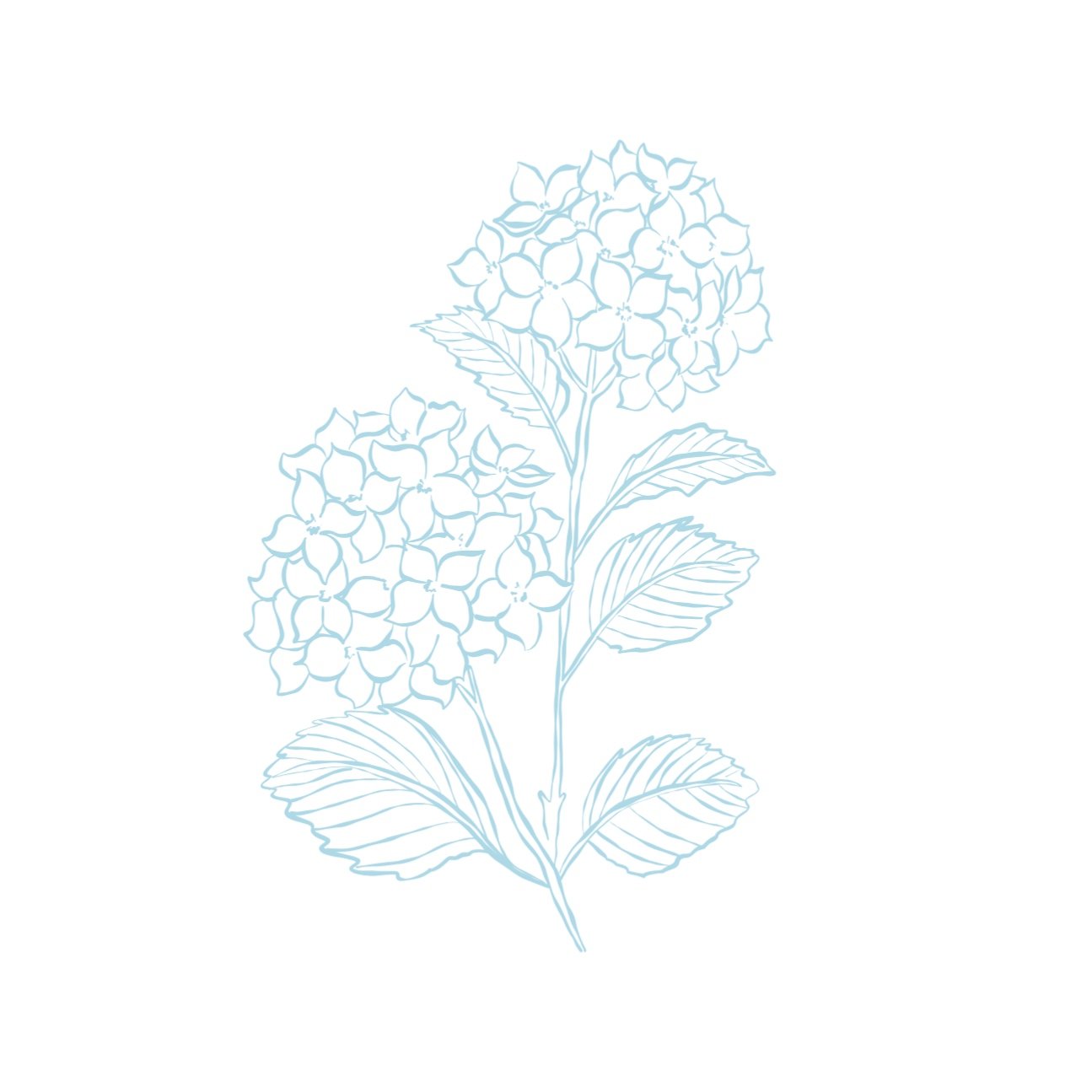 Add Custom Text to Hydrangea Frame
