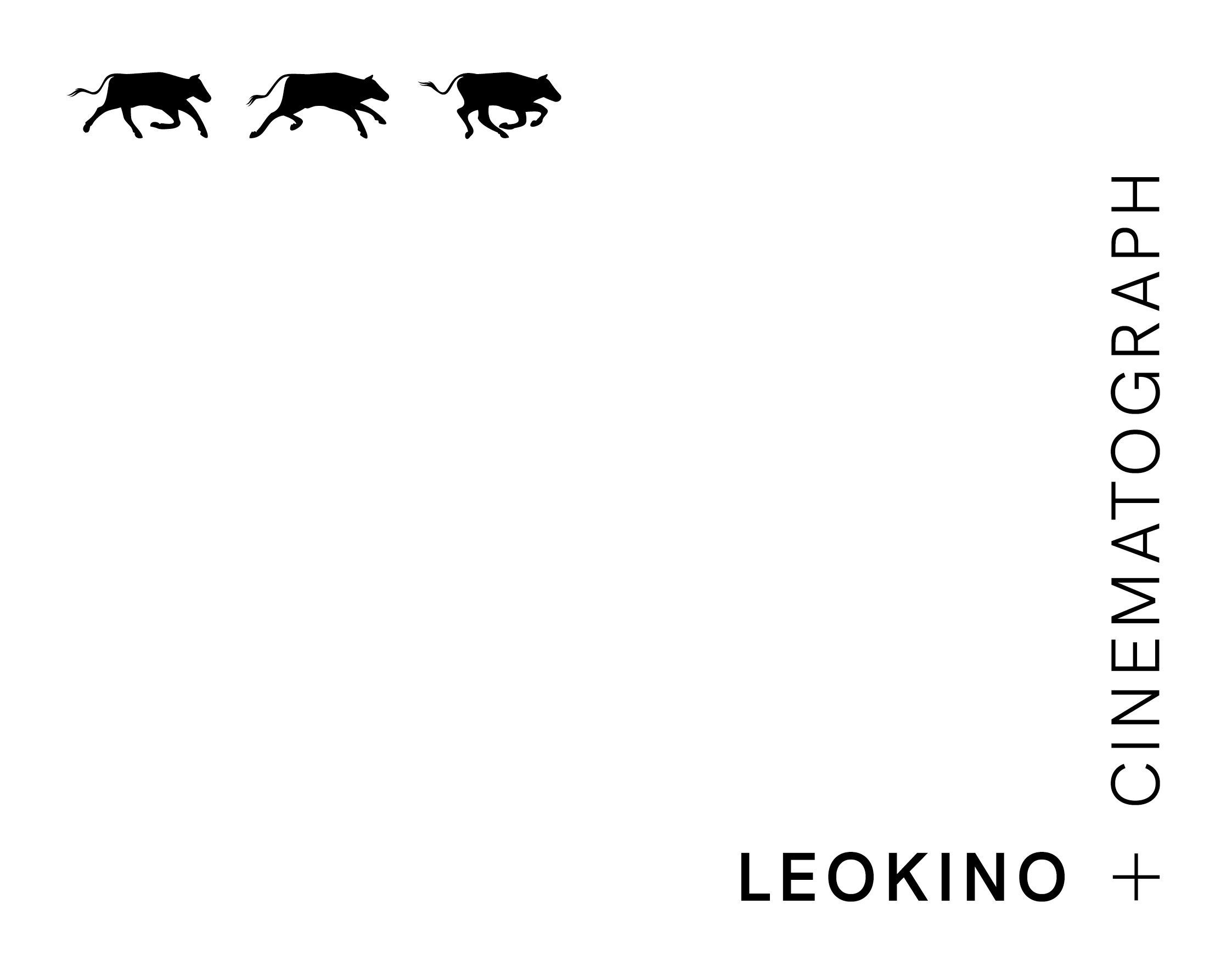 LEO_Logo_OK-16.png