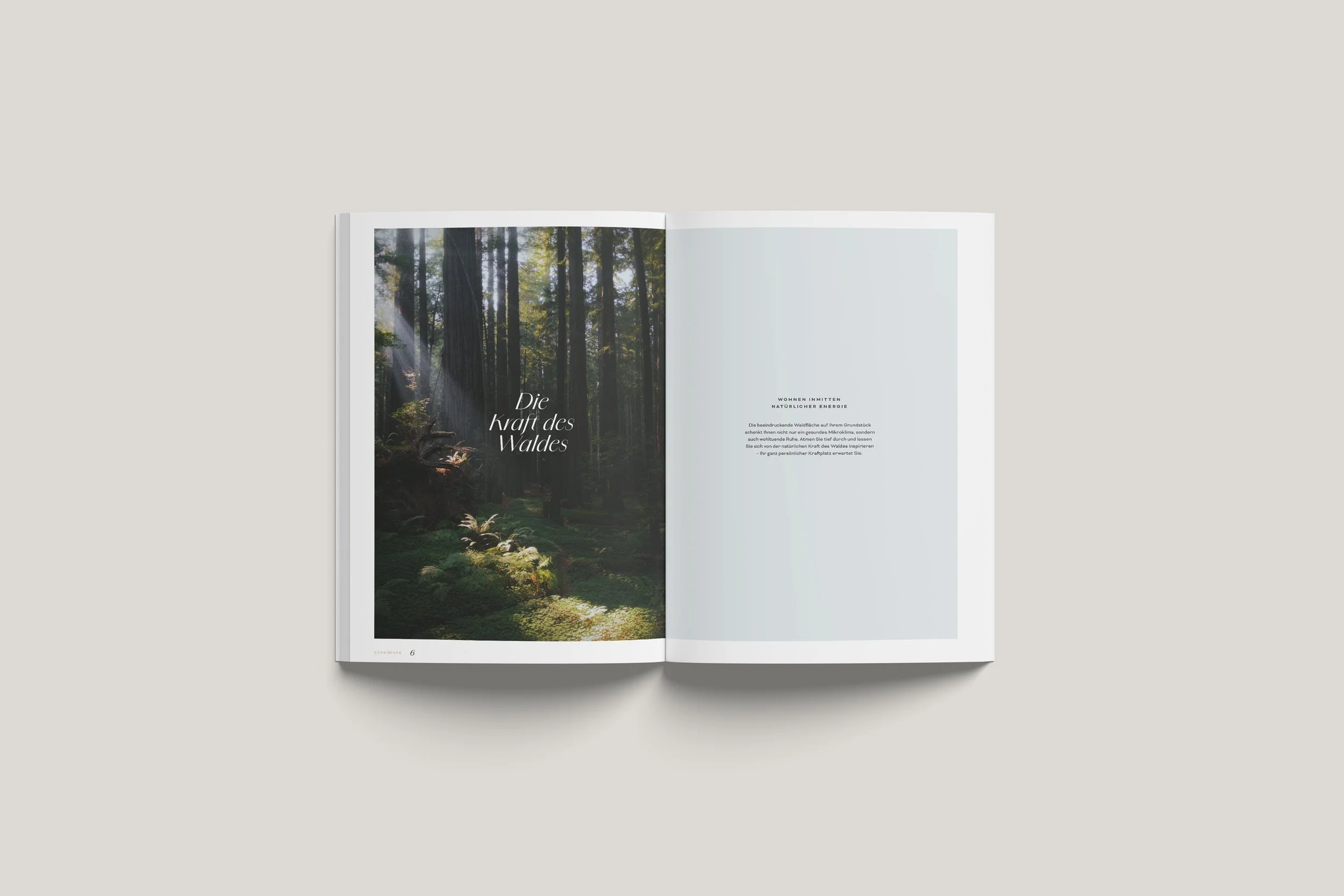 Berg-See-Mockup03.jpg