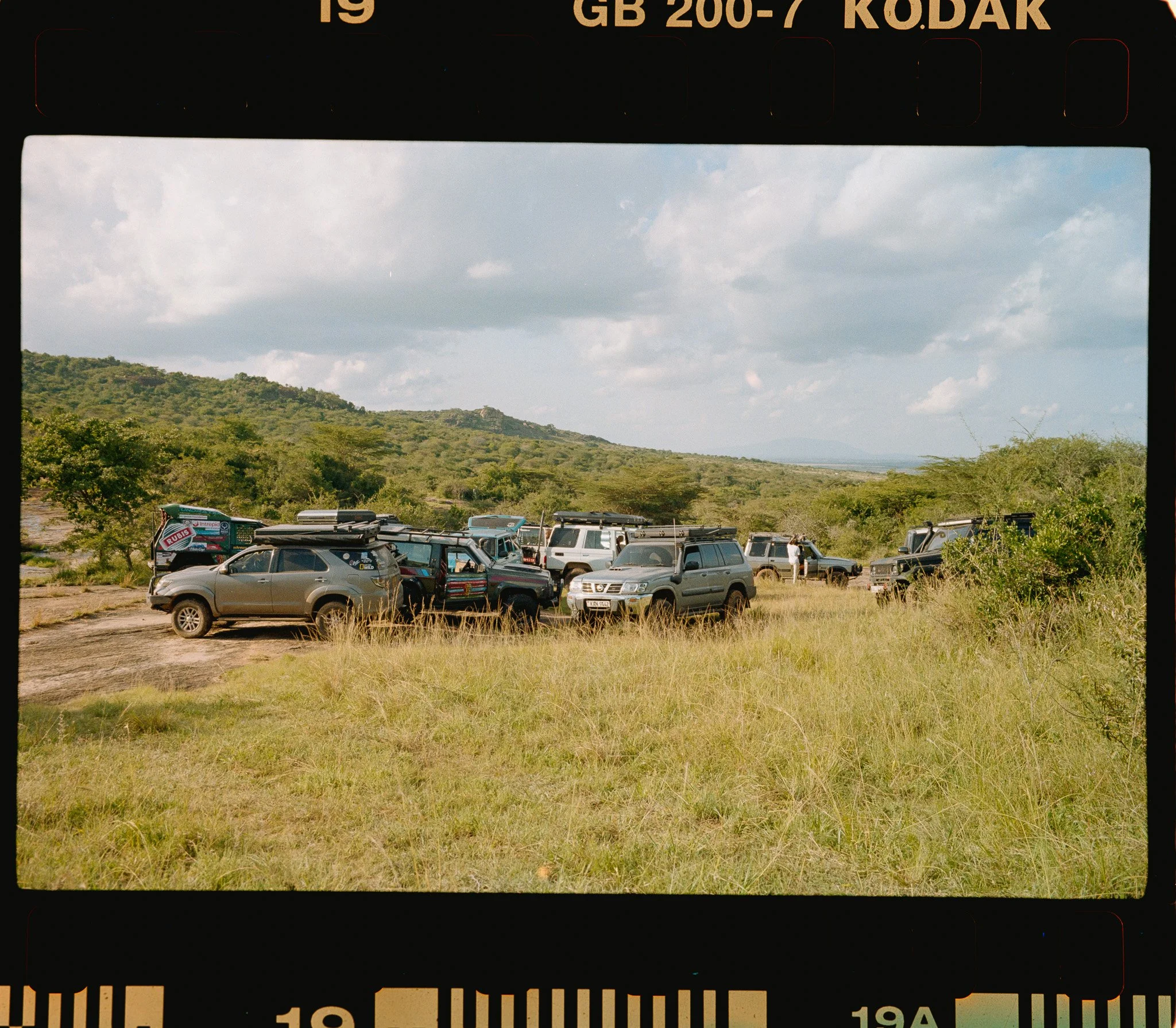 GECO - -8.jpg