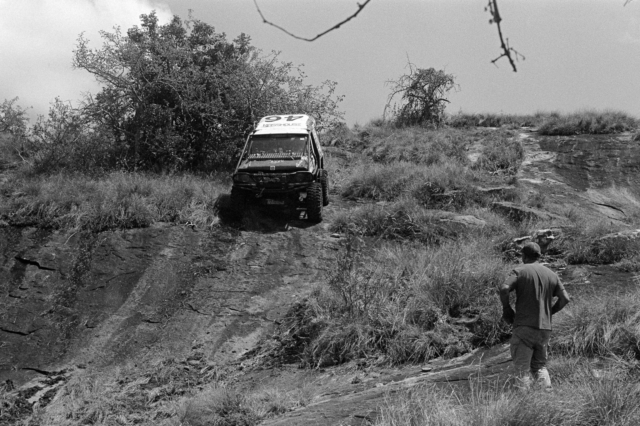 GECO-8.jpg