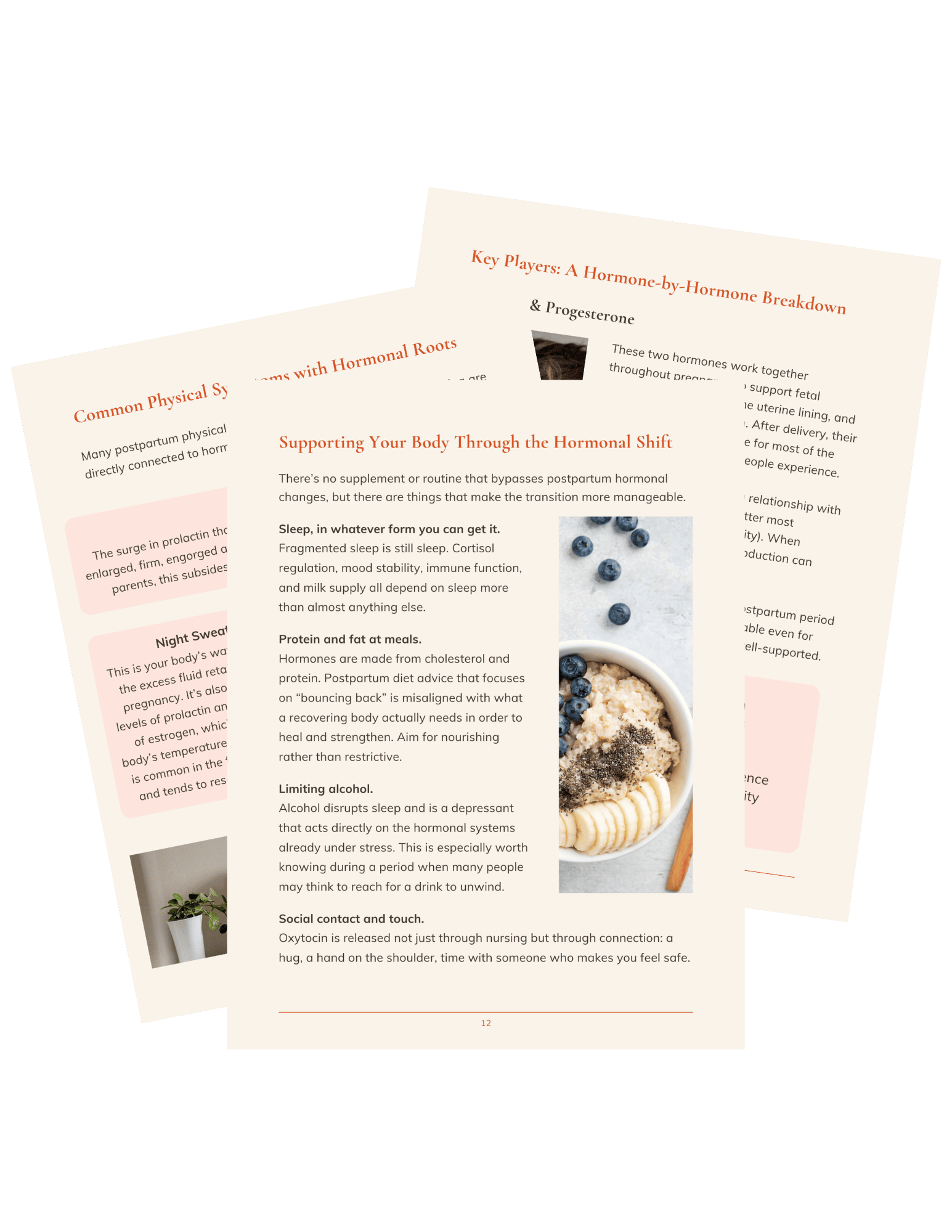 hormones-guide-samples.png