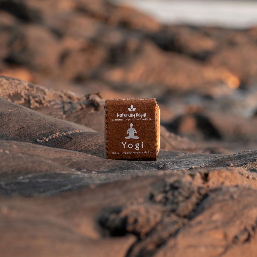 Yogi-Soap2.jpg
