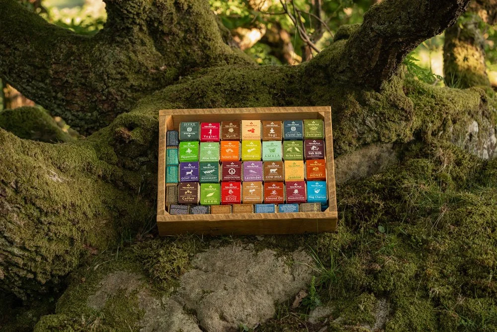 A wooden box containing various soap boxes, placed on mossy ground near a tree trunk in a forest setting.