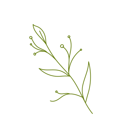 Simple line graphic in green of a floral design.