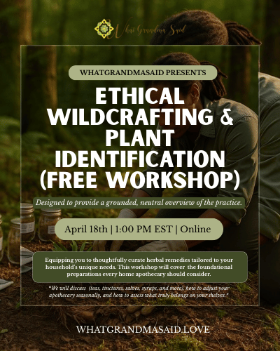 Ethical Wildcrafting & Plant Identification