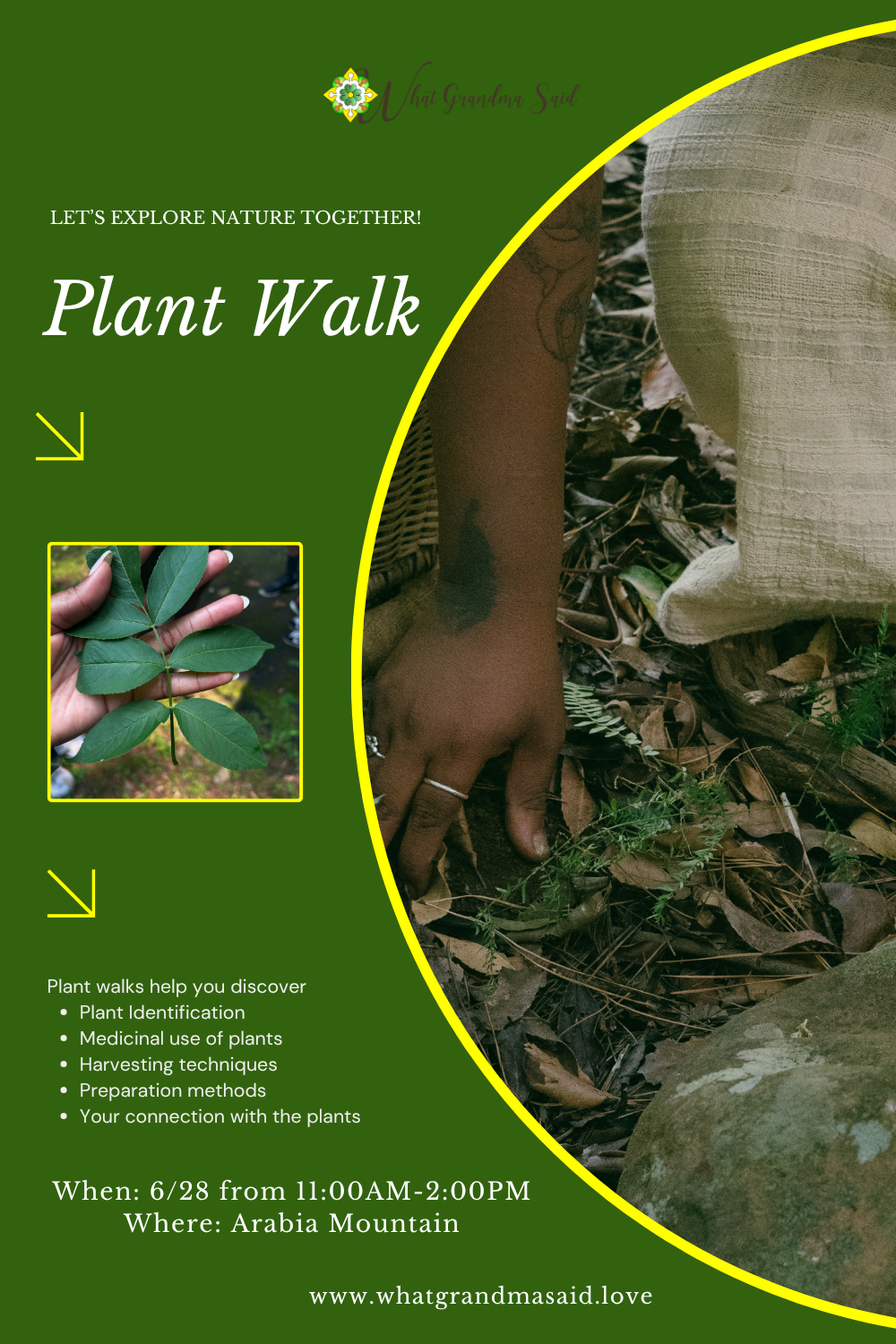 In the Forest Pinterest Graphic (1).png