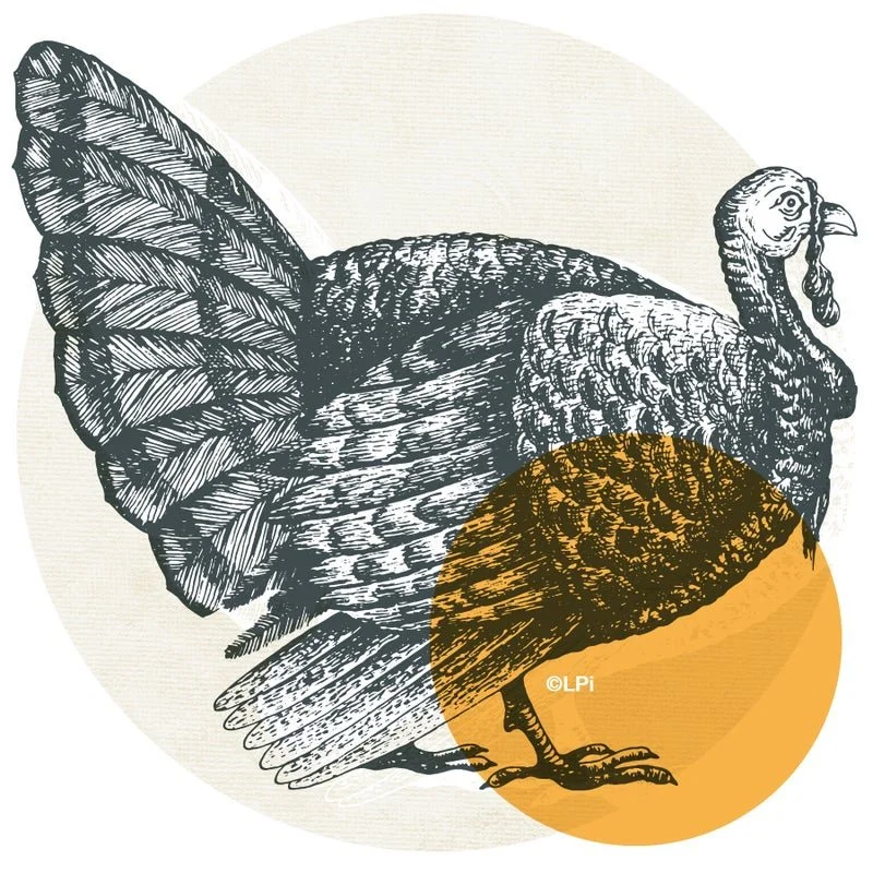 SJC-Turkey Shoot