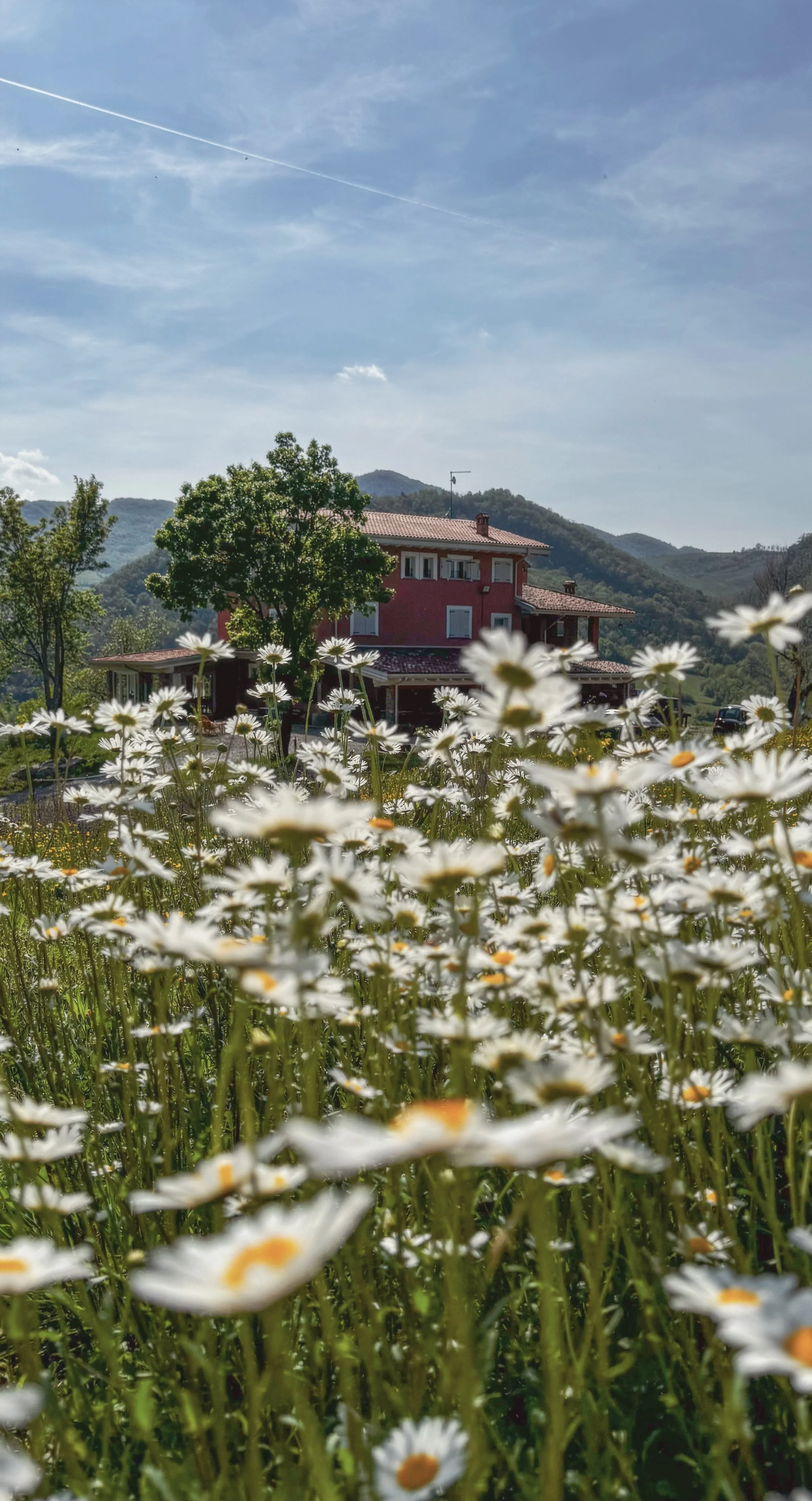 Casa immersa nel verde delle colline, con prato rigoglioso e cielo azzurro con nuvole bianche.
