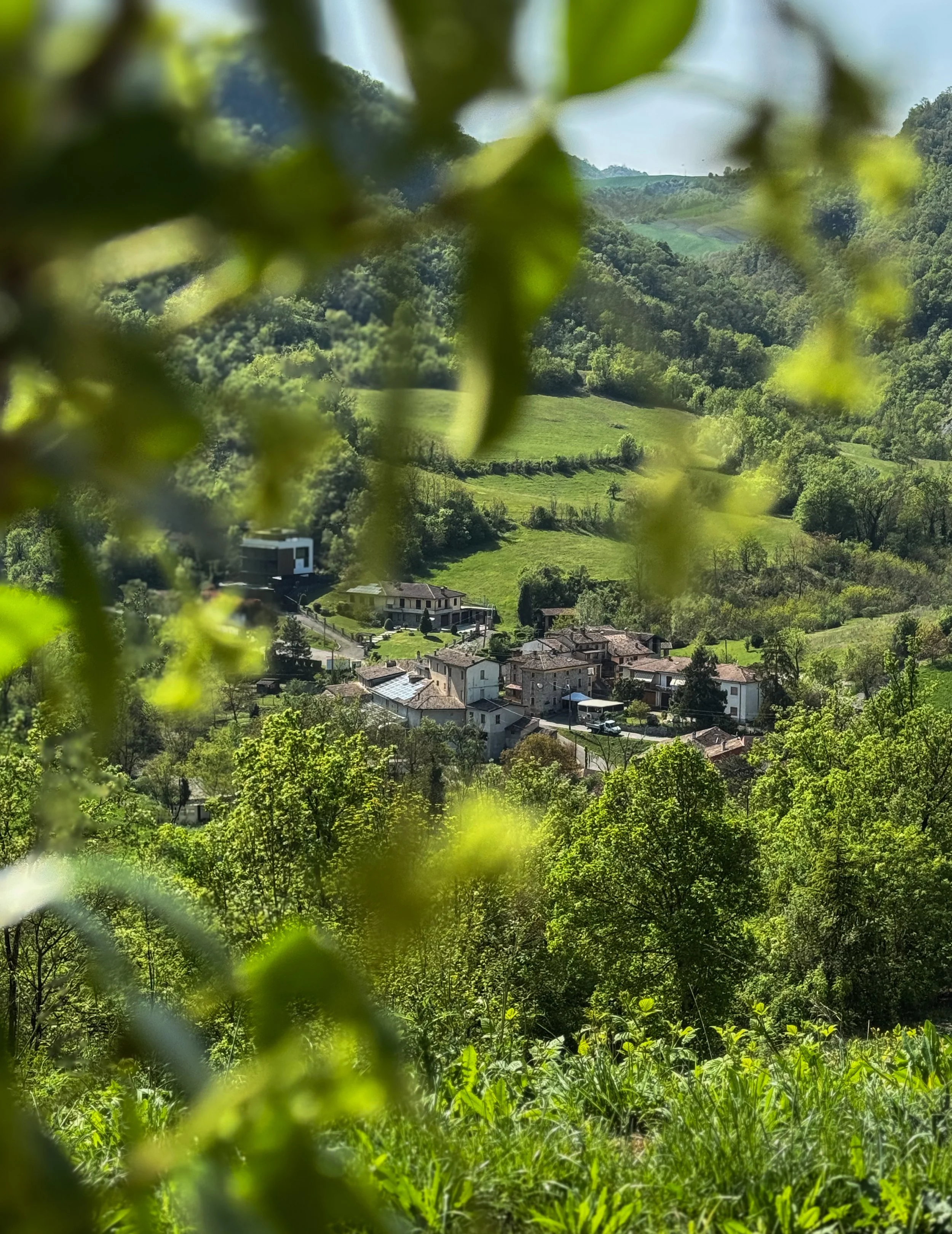 Interno di un soggiorno con divano bianco, cuscini rossi e bianchi, stufa a legna, tende beige, lampada da tavolo su un mobile rosso e finestre panoramiche con vista sul verde esterno.