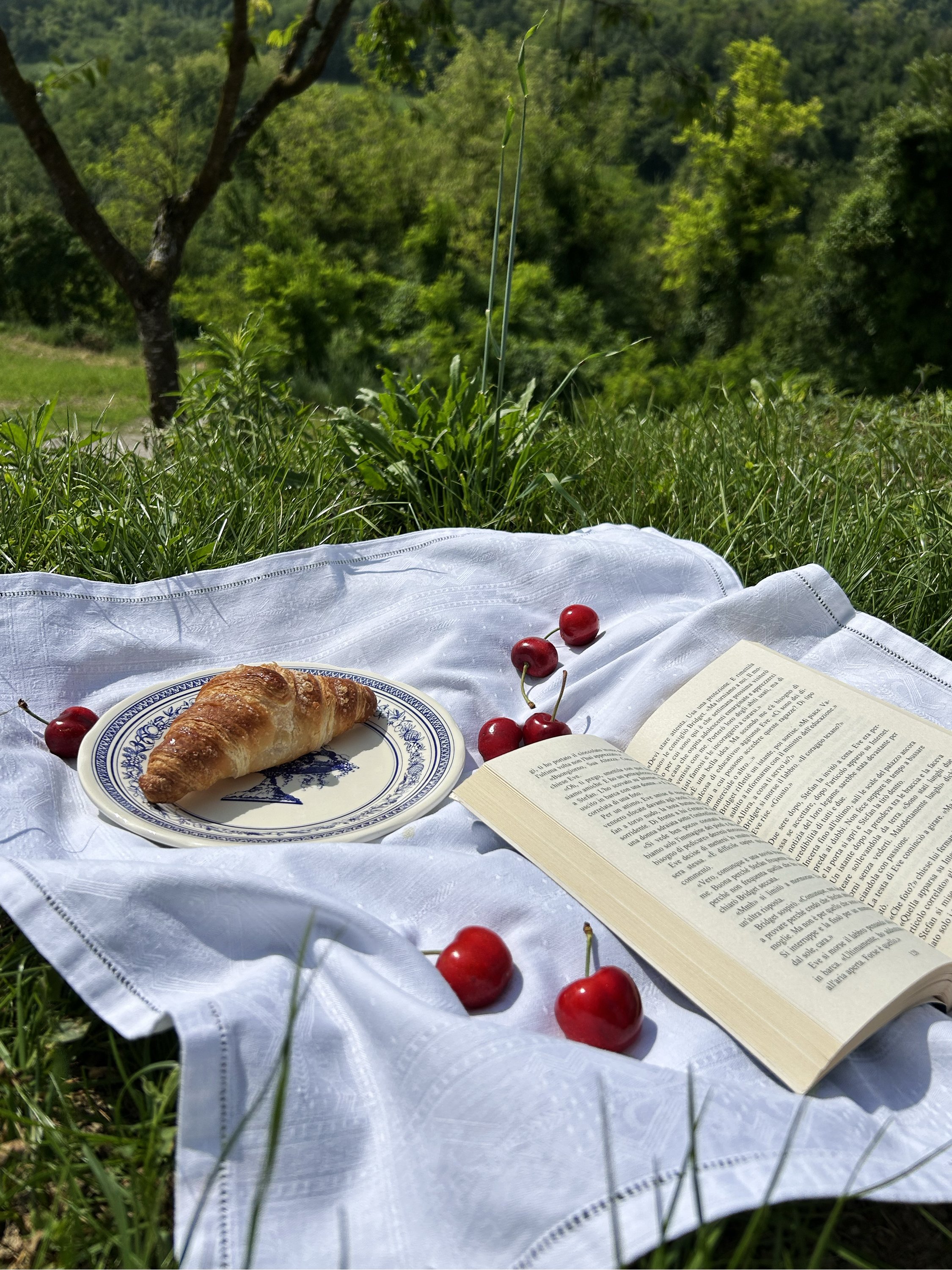 Colazione e pace all'esterno, con brioche e libro di poesie