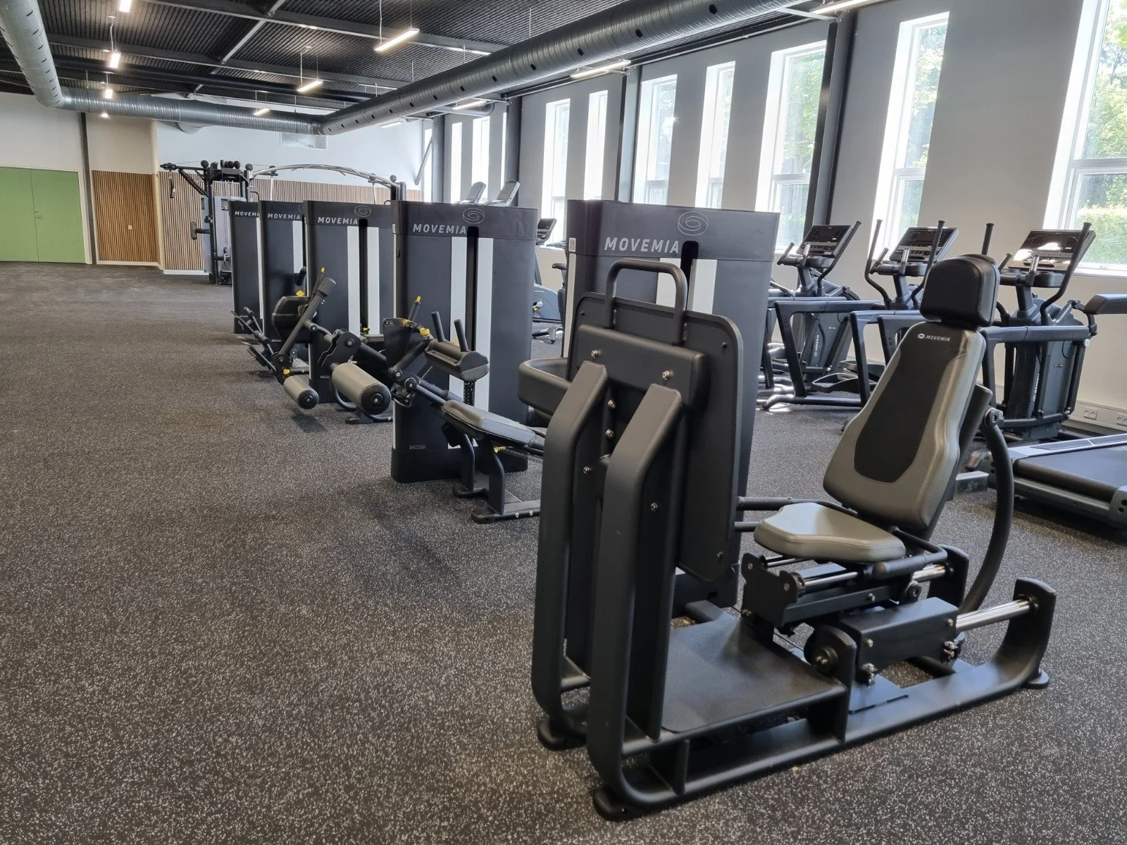 Empty gym with various fitness equipment including leg press, recumbent bikes, treadmills, and elliptical machines, with large windows letting in natural light.