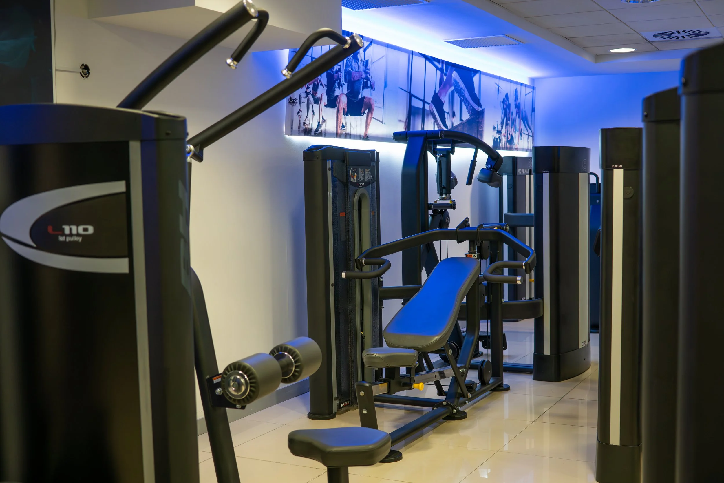 Gym equipment including a seated calf raise machine, a leg press machine, and a chest press machine in a modern gym with blue accent lighting and wall art.