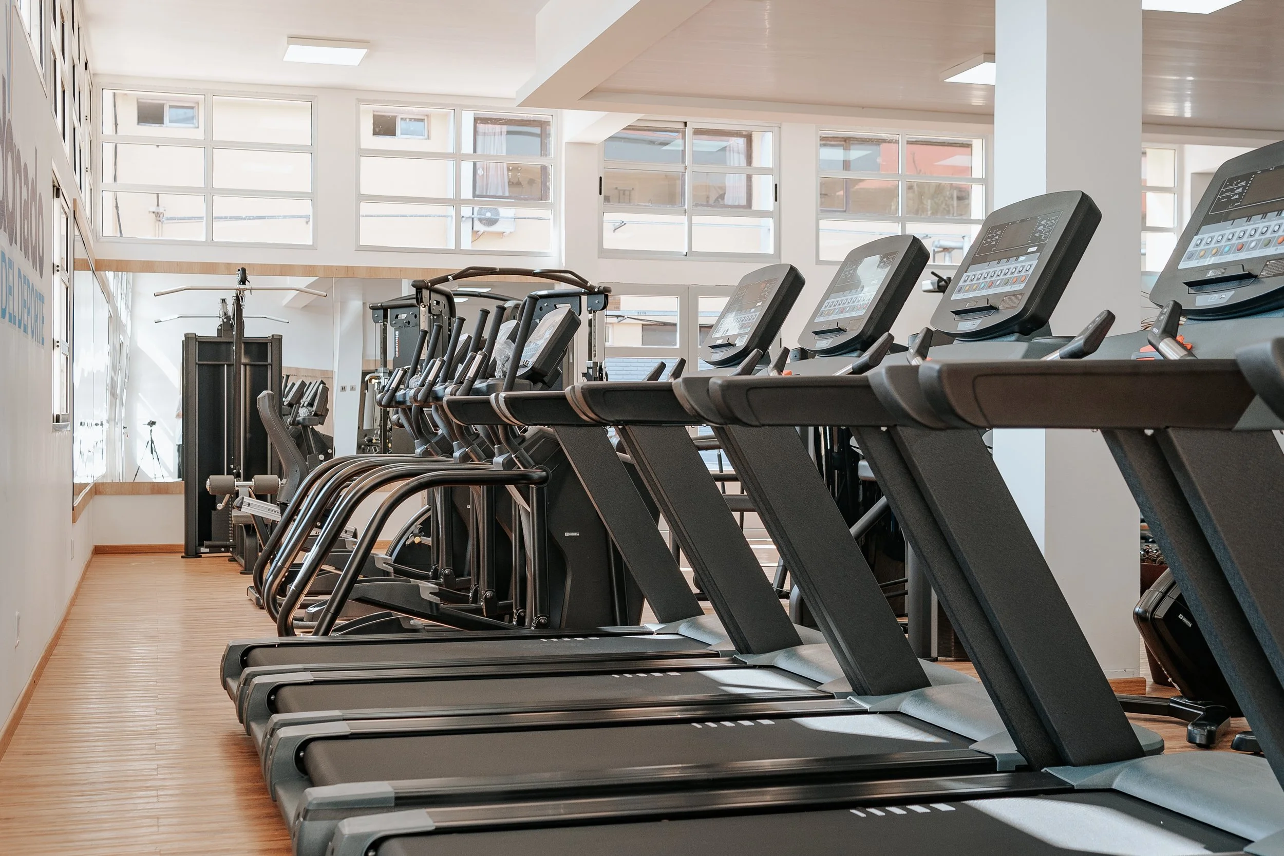 A row of treadmill machines in a gym with large windows letting in natural light.