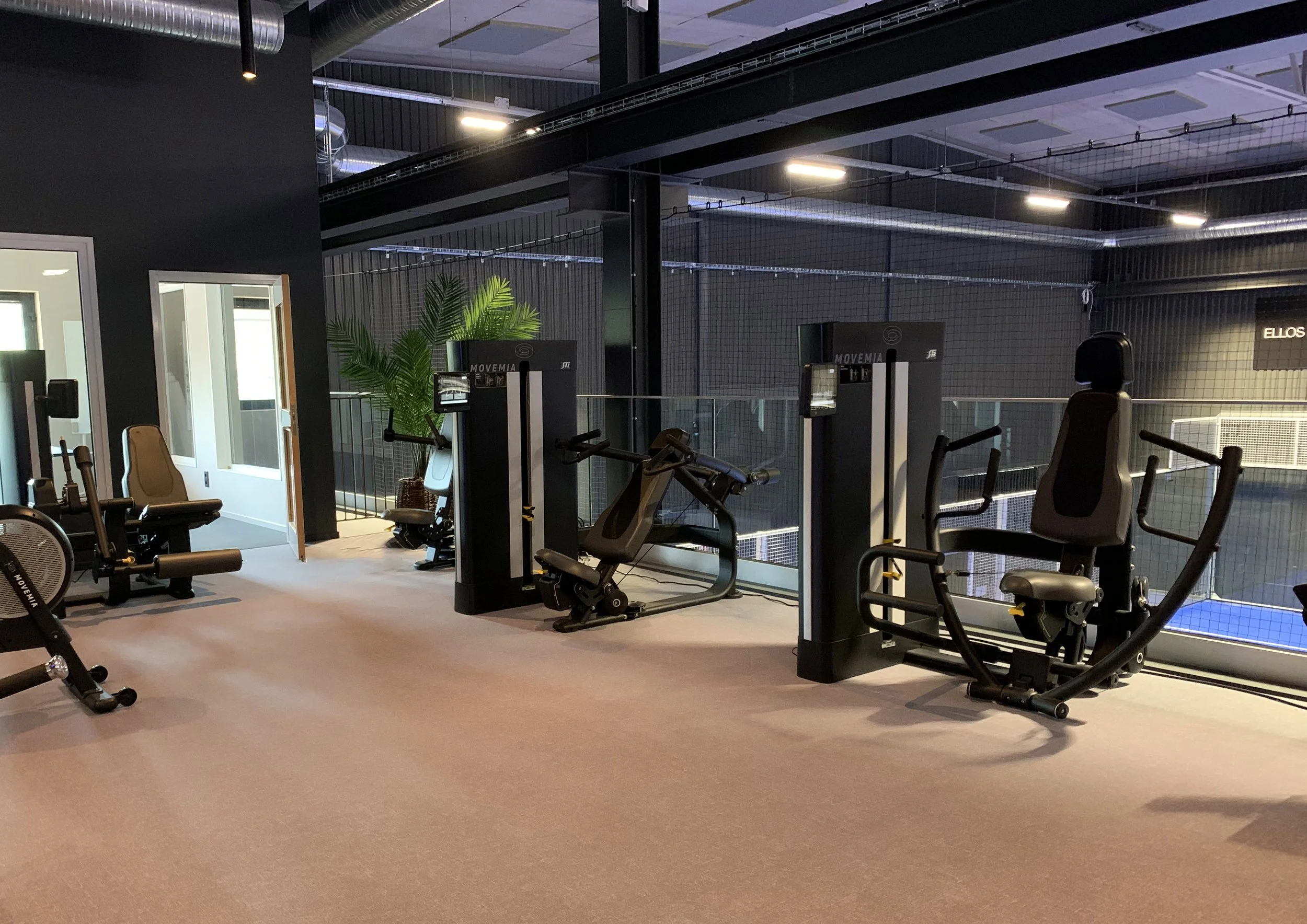 Empty fitness studio with exercise machines, a potted plant, and a mezzanine with a safety net.