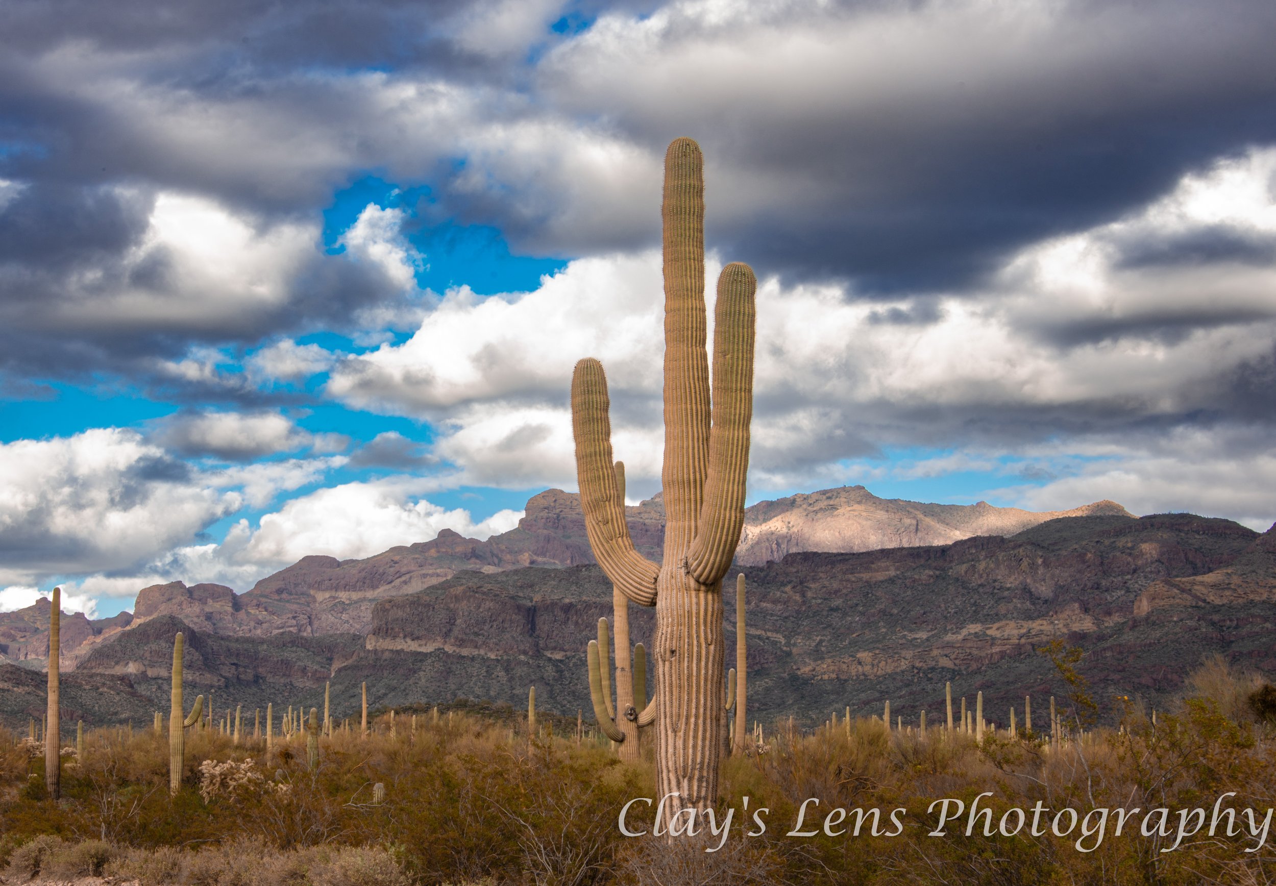 Organ Pipe Nat'l Preview.jpg