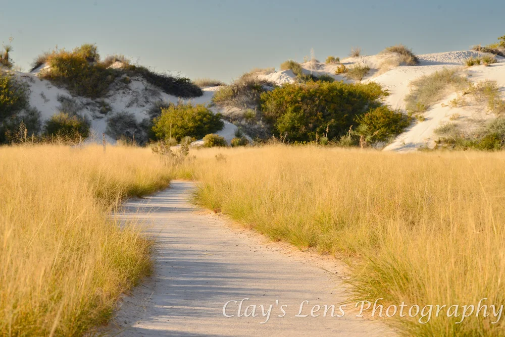 White Sands Blog-8.jpg