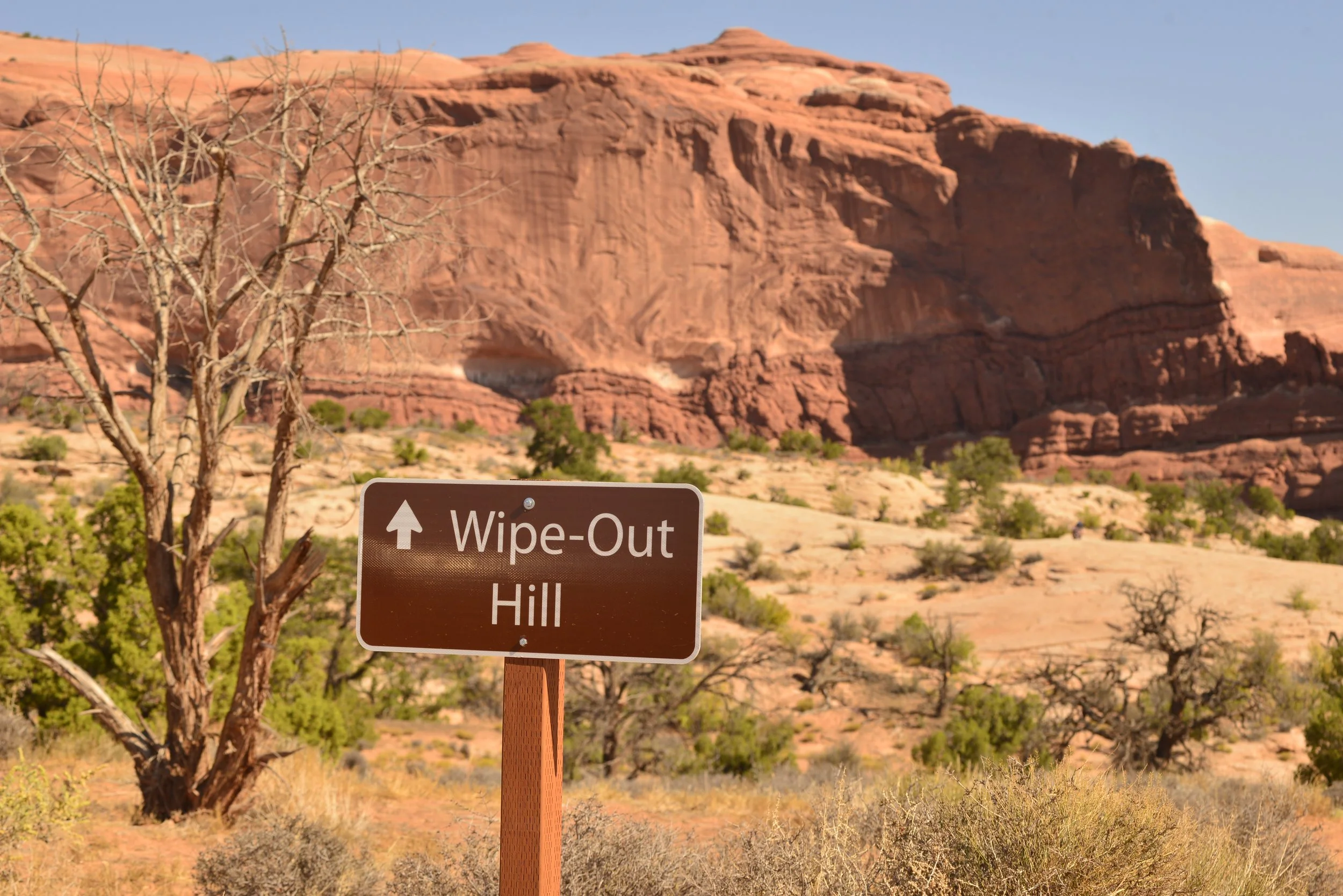 Trail Sign.JPG