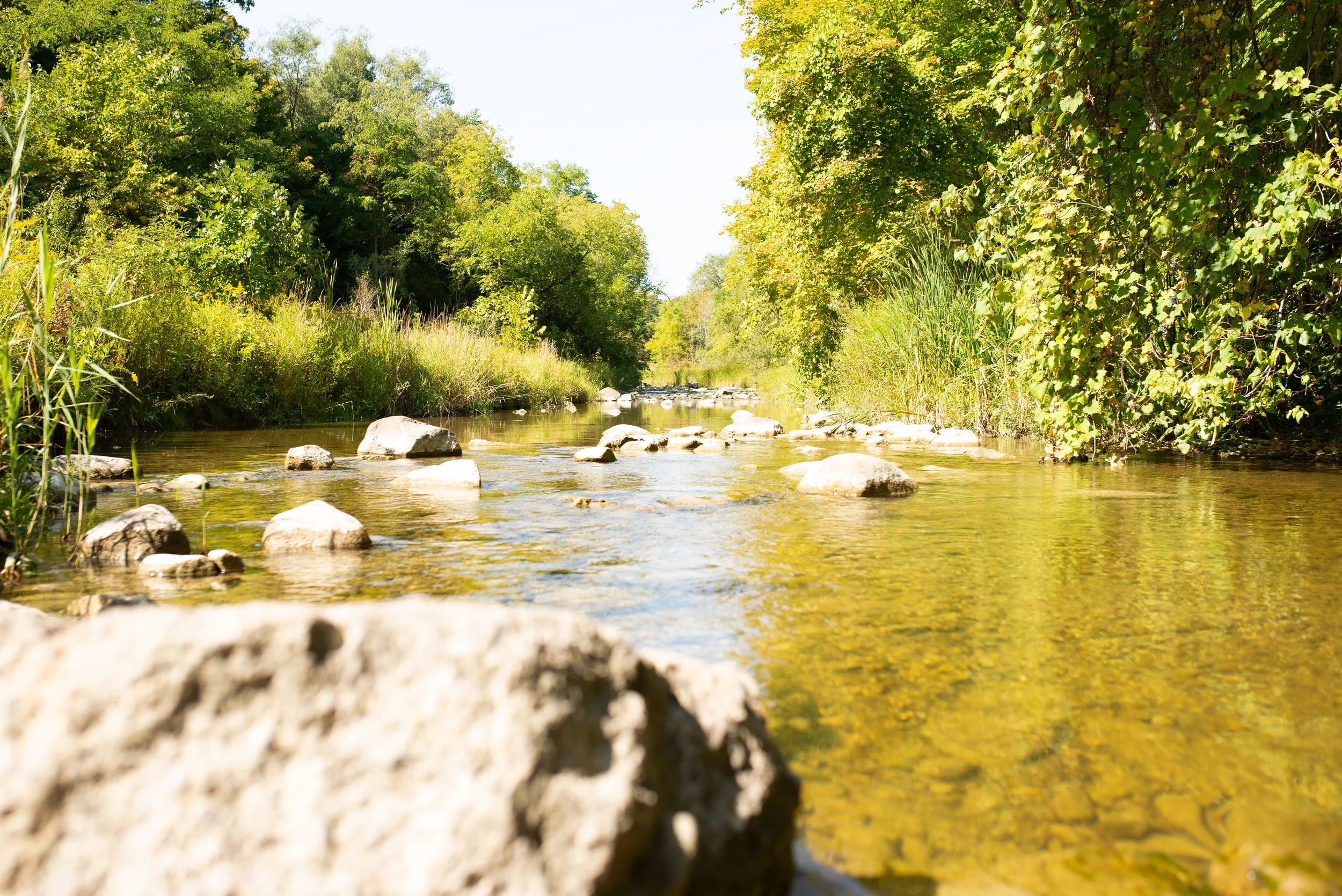 Better Late Than Never: Rouge National Urban Park and a Different Side of Toronto