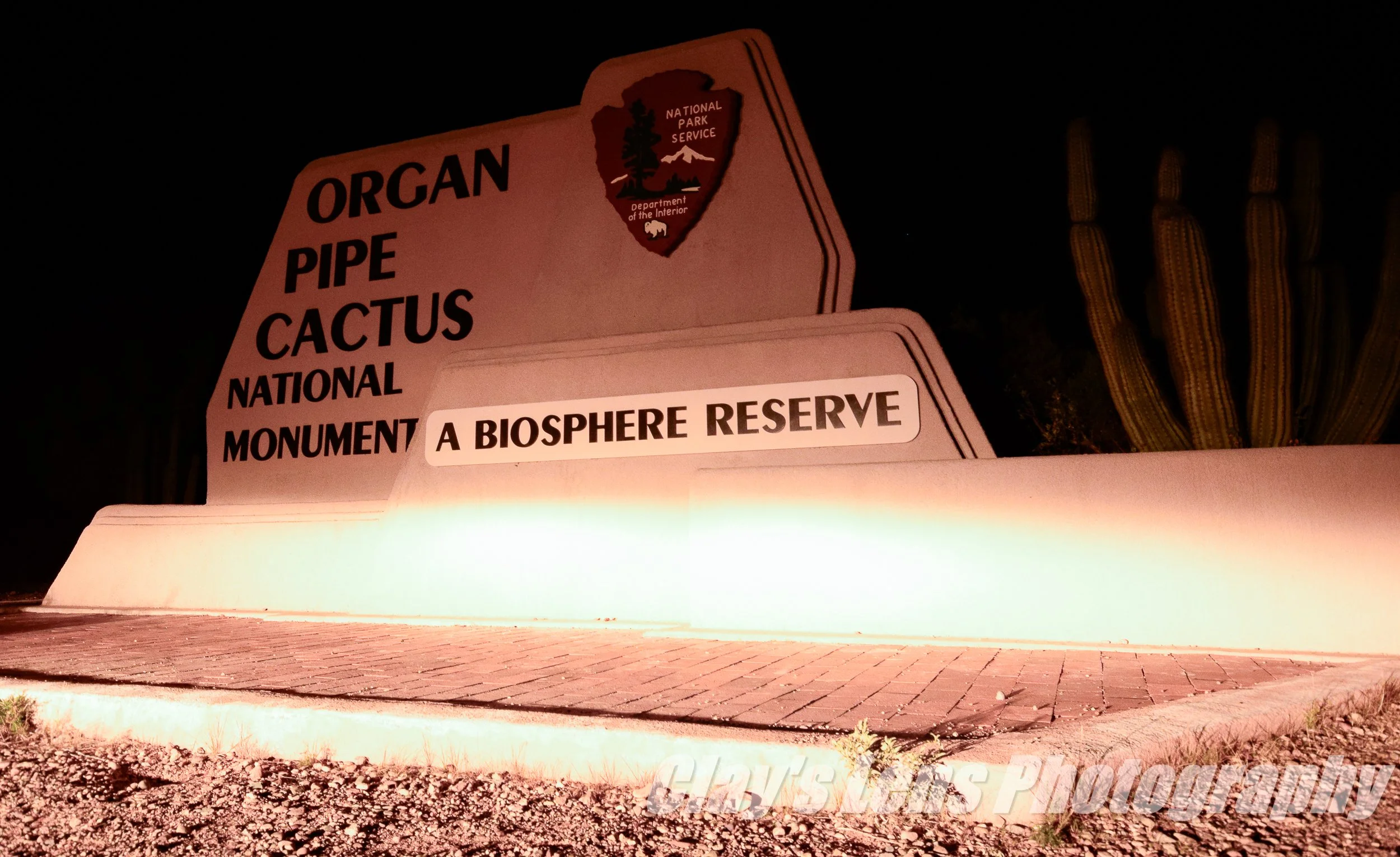 Organ Pipe National Monument Park at Night: My Best Visit Yet