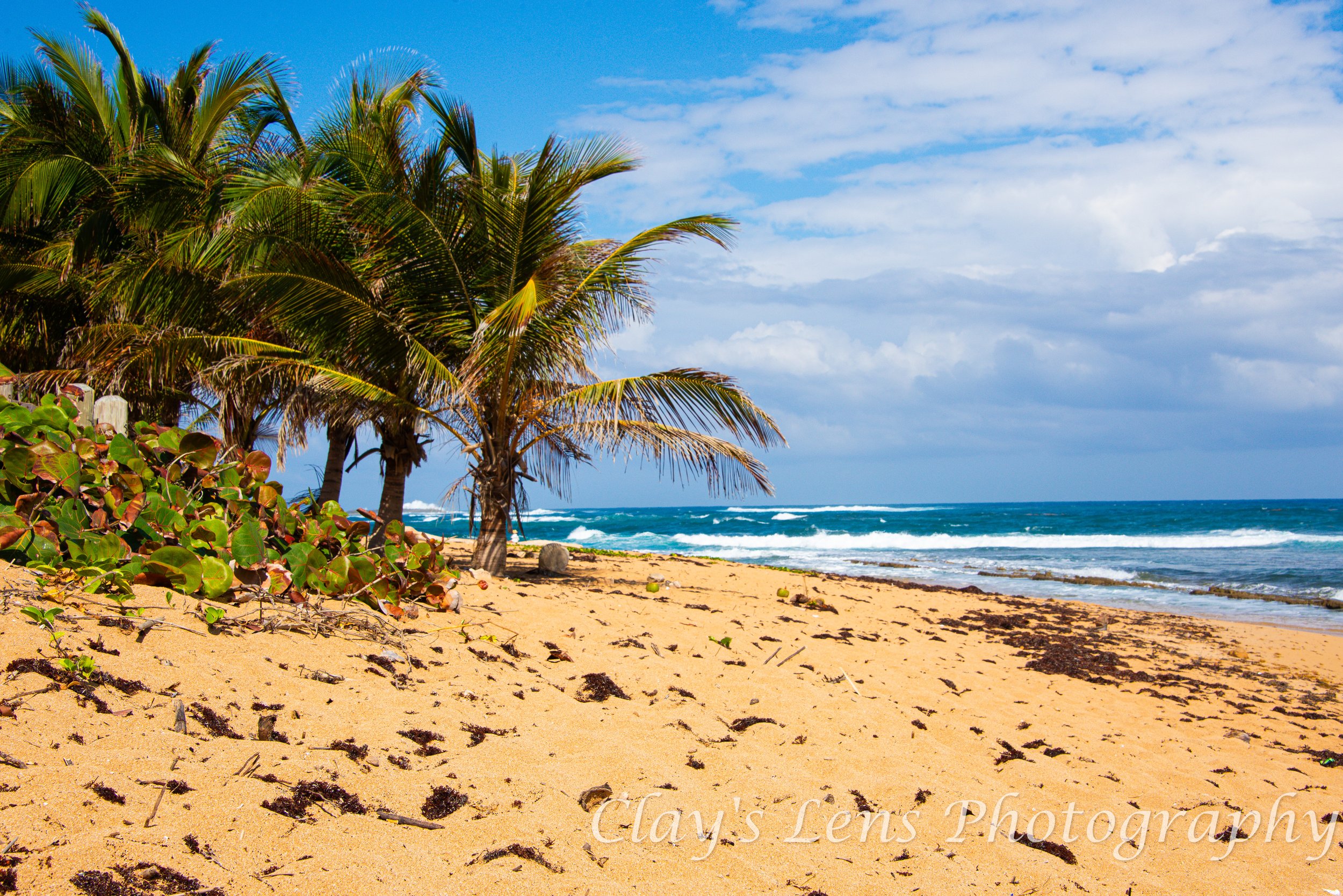 Tropical Idyllic Empty Beach Puerto Rico preview.jpg