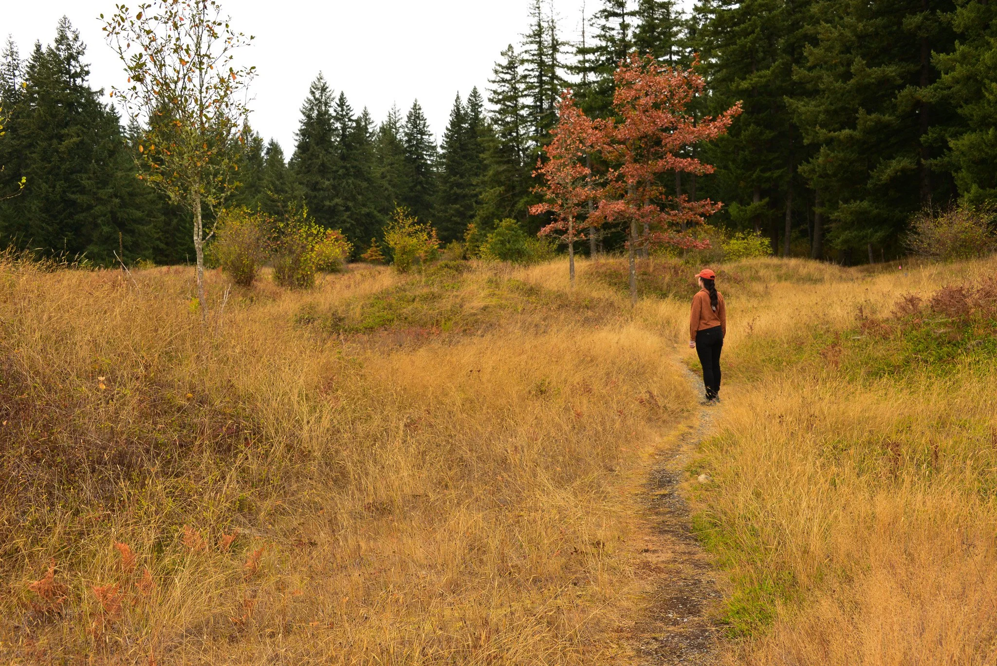 Mima Mounds iStock 9.jpg