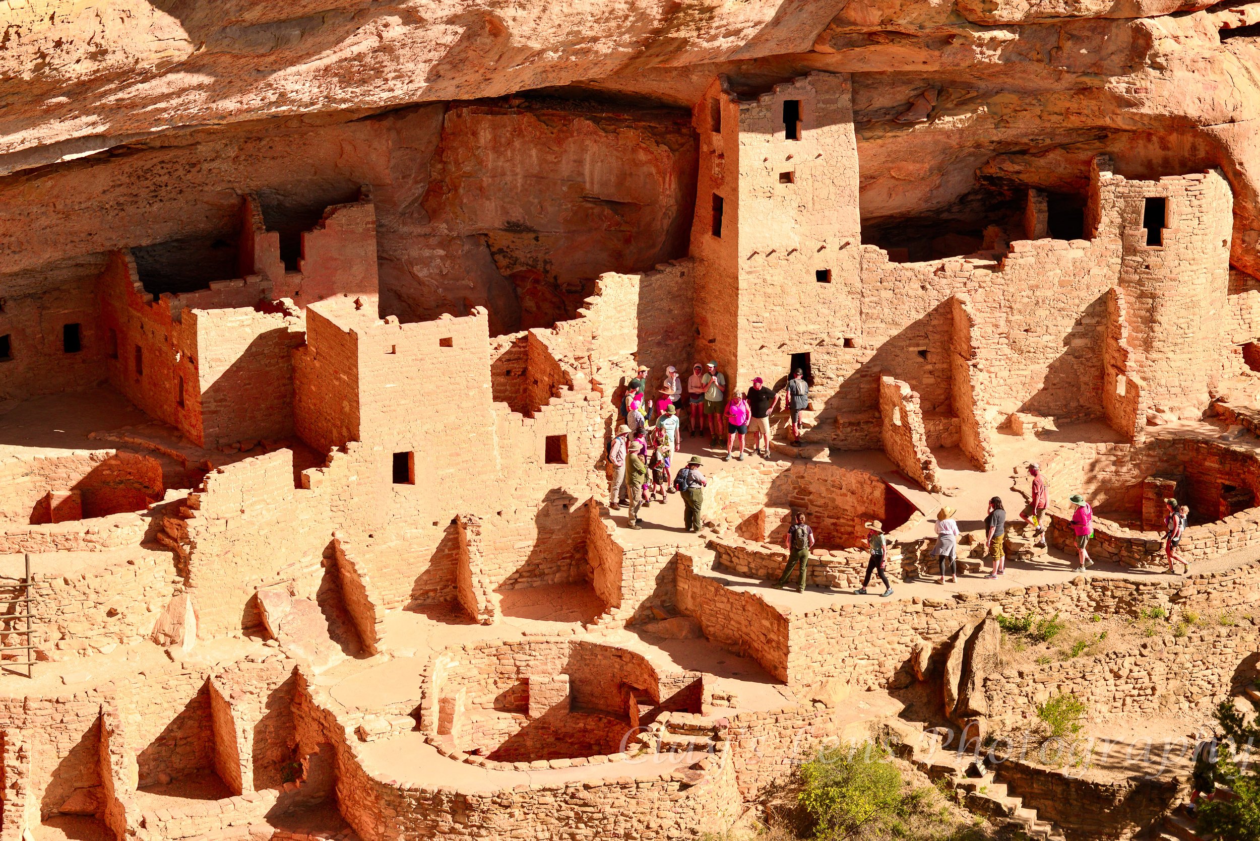 Mesa Verde Group preview.jpg