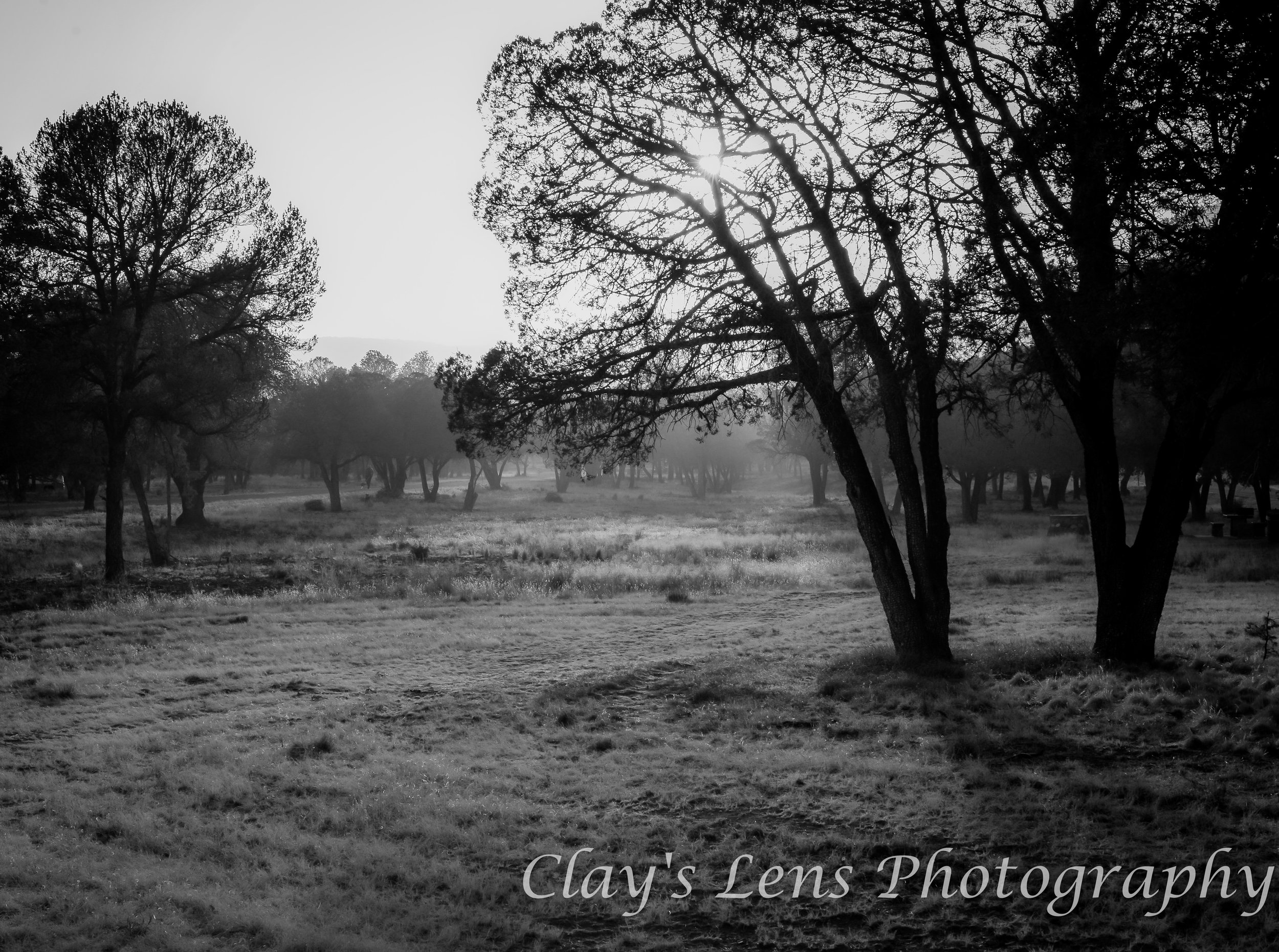 Monochrome Foggy West Texas TX preview .jpg