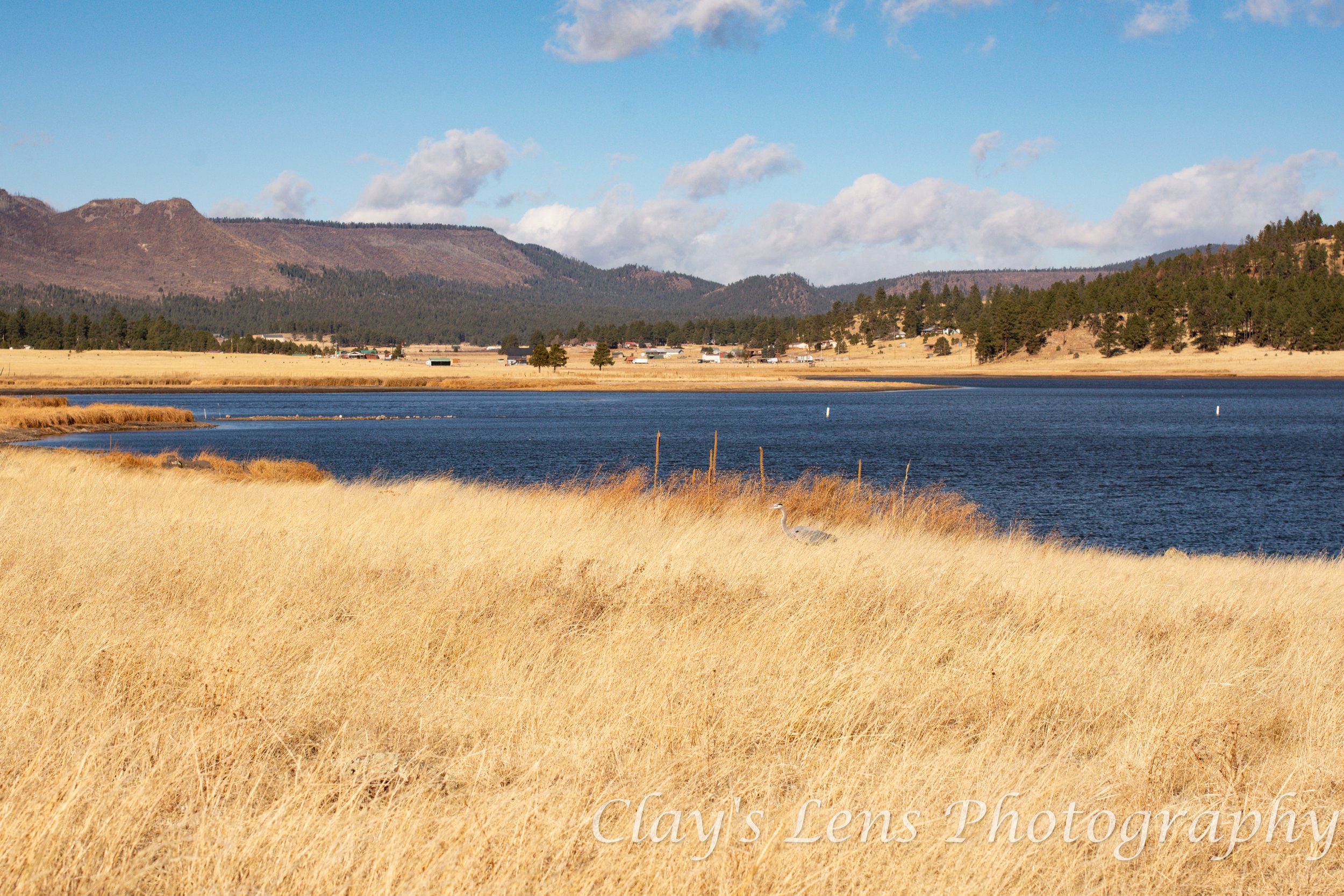Luna Lake Blog 4.jpg