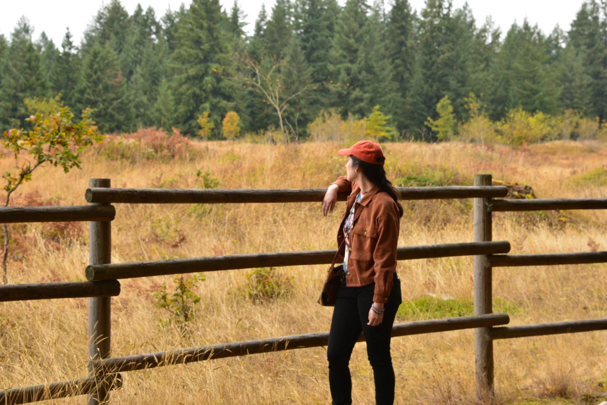 Mima Mounds iStock 1.jpg