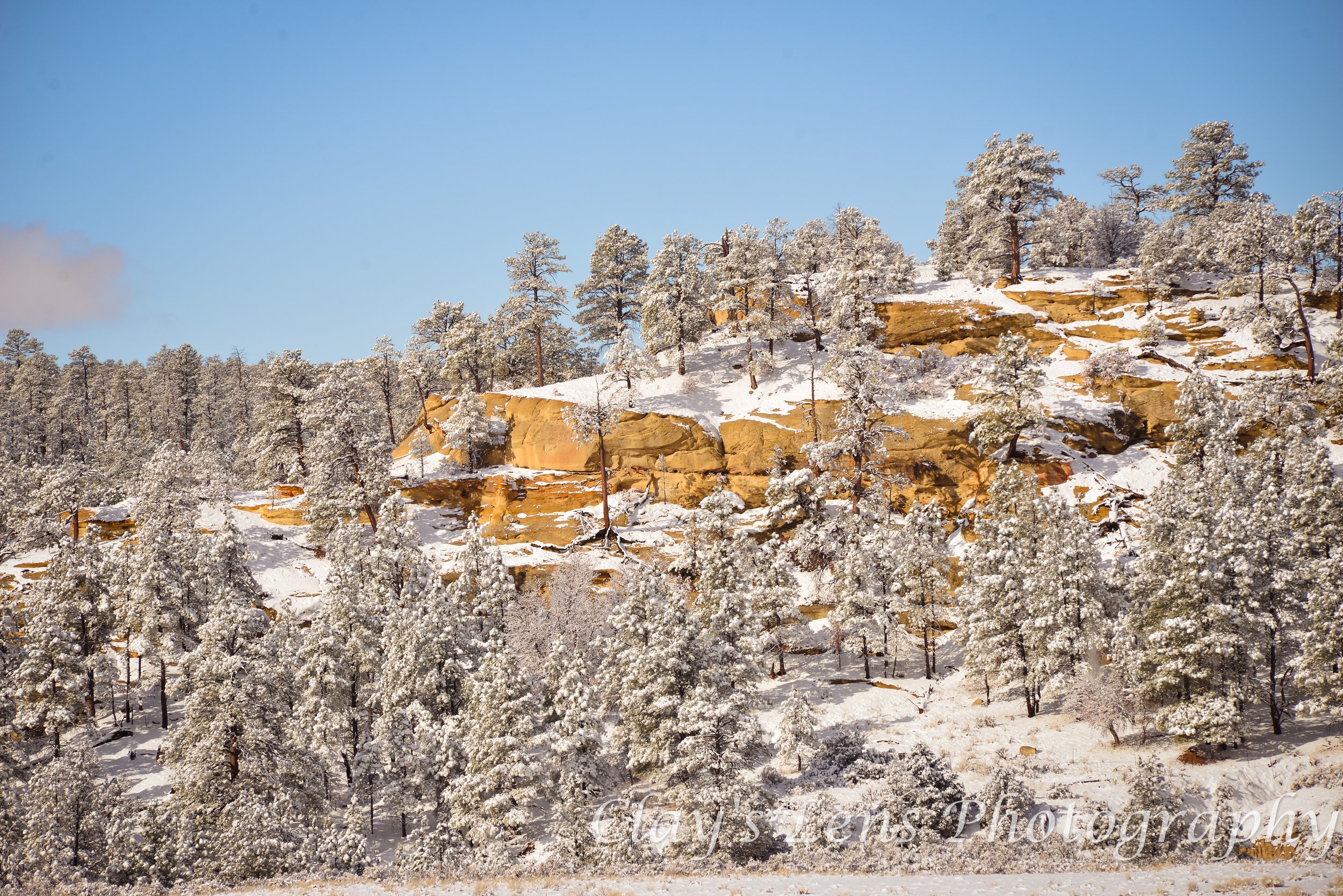 Snowy Ridge Trees NM preview.jpg