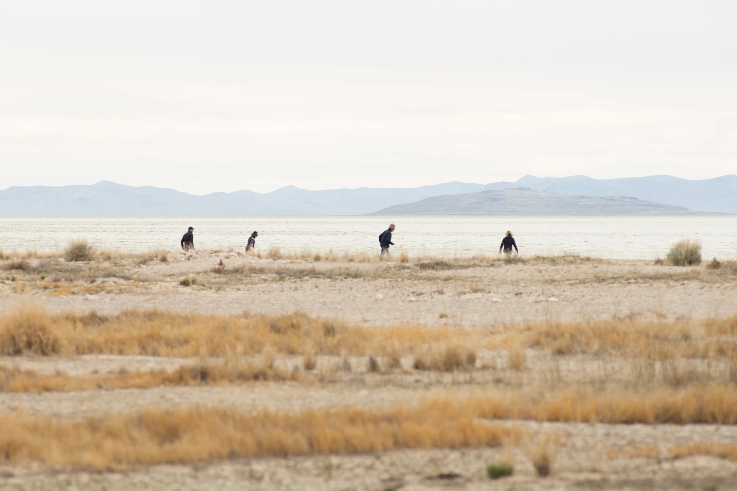 People walking along Great Salt Lake shoreline on Antelope Island with distant mountains