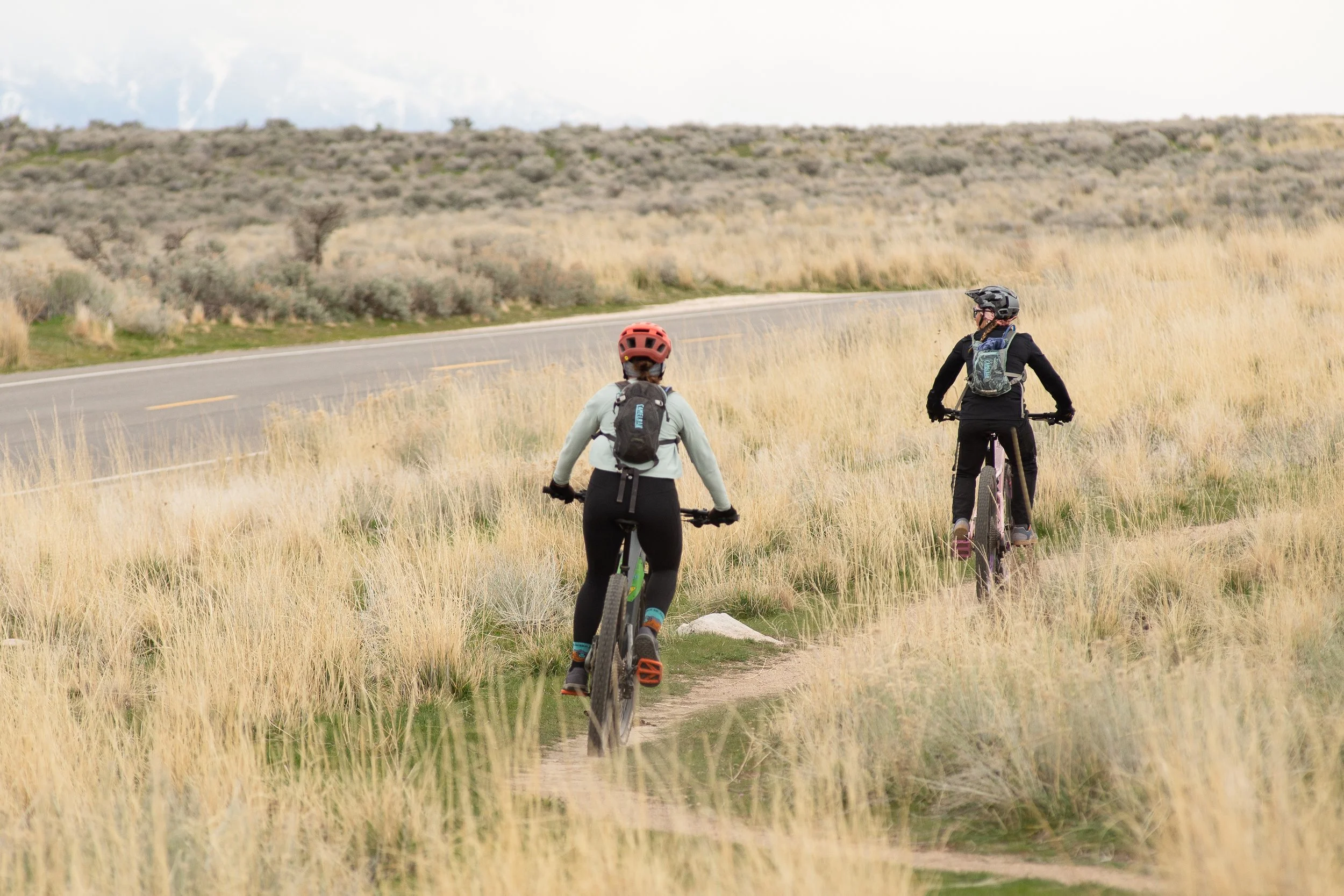 Cyclists riding trail on Antelope Island near road through dry grass landscape