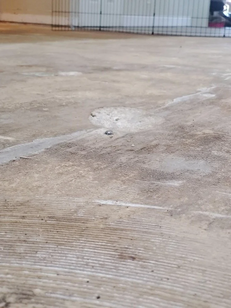 CATHERINE SEIBERT PICS 1.jpg