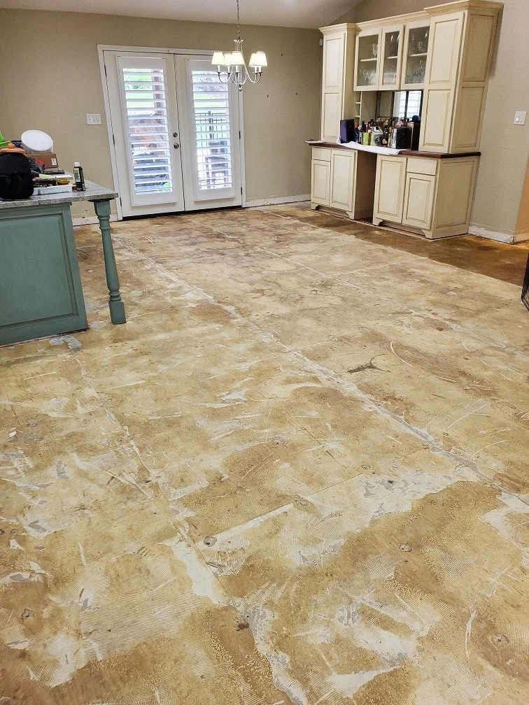 CATHERINE SEIBERT PICS 4.jpg